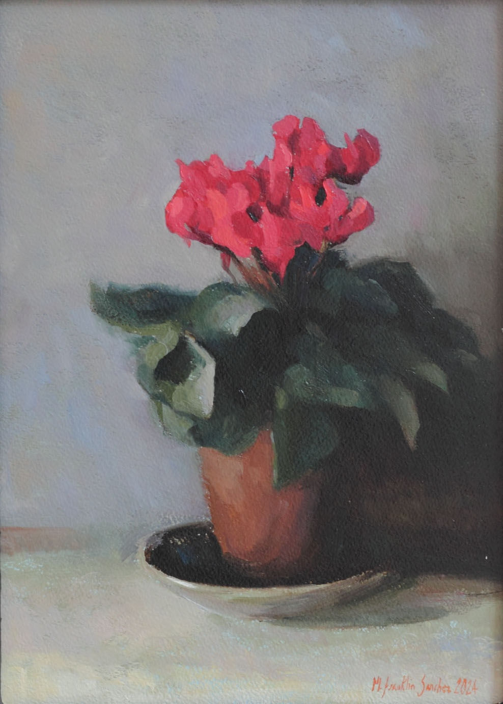 Melissa Franklin Sanchez, Cyclamini