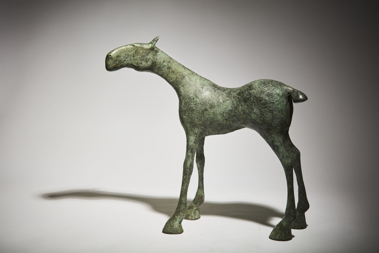 Anthony Scott, Macha