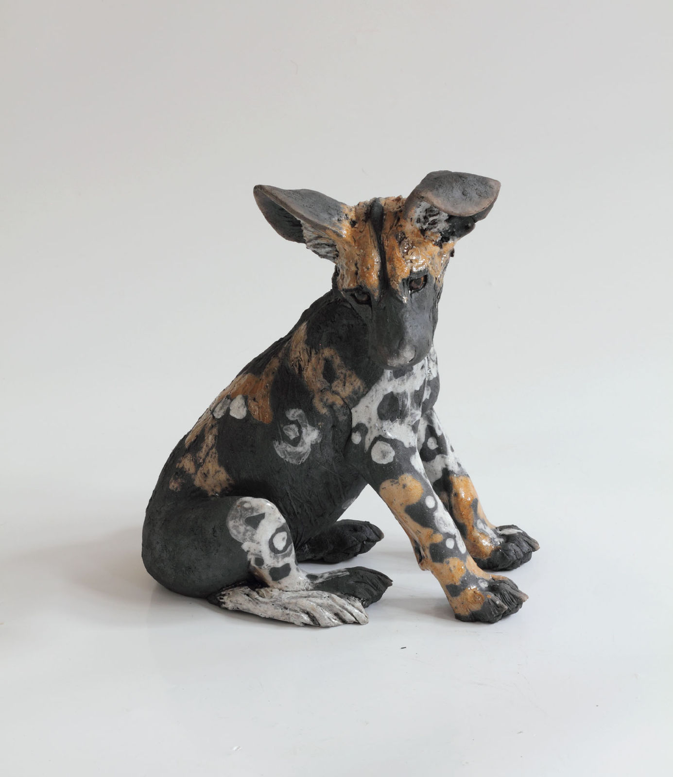 Nick Mackman, Wild Dog Pup with Floppy Ear