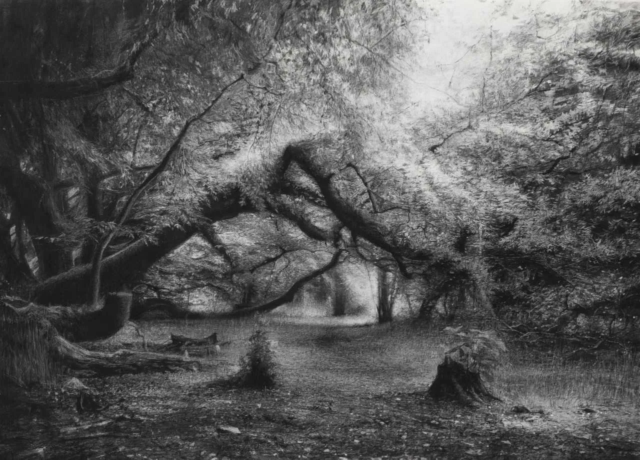 Celia De Serra, Towards This Place Lightly