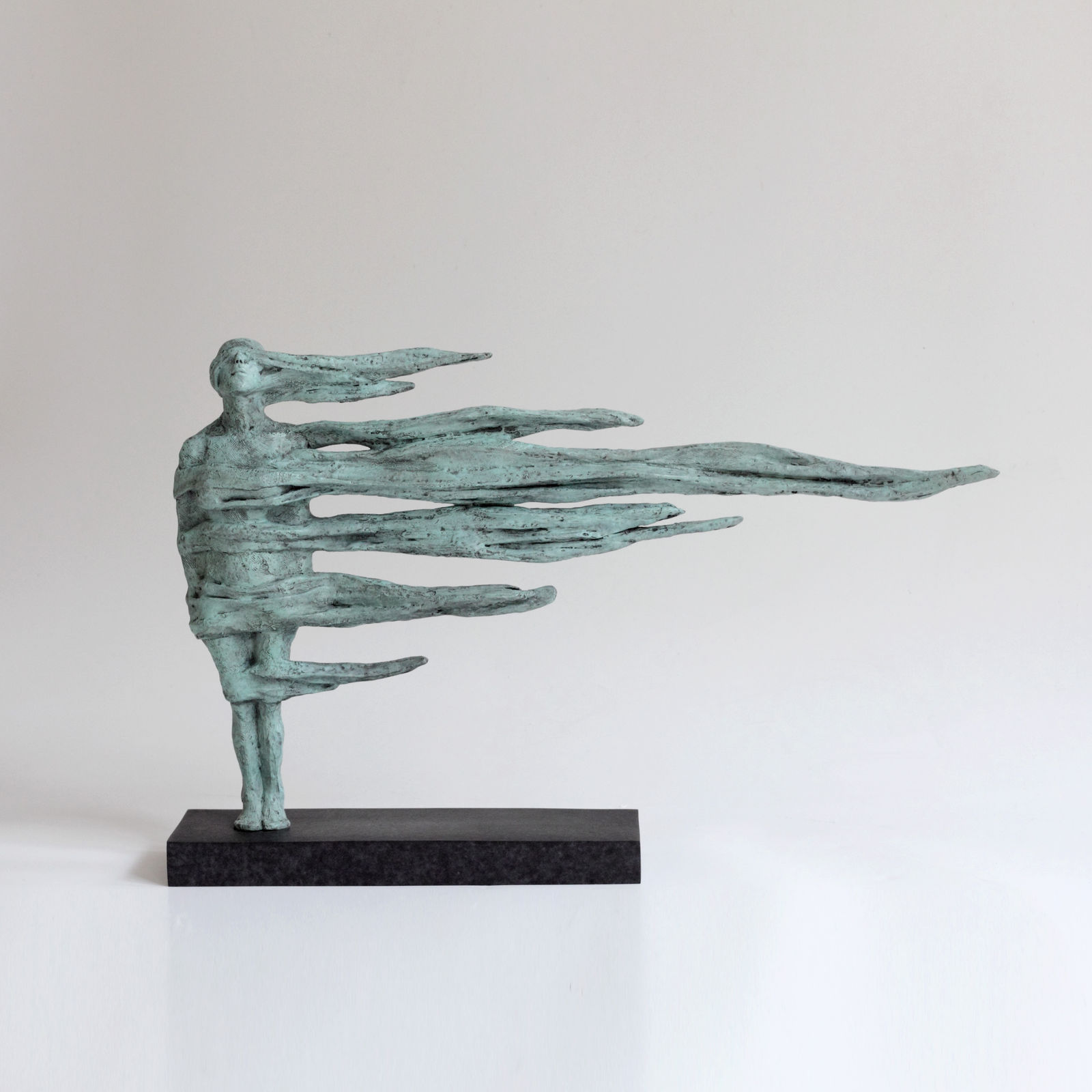 Anna Gillespie, In Extremis