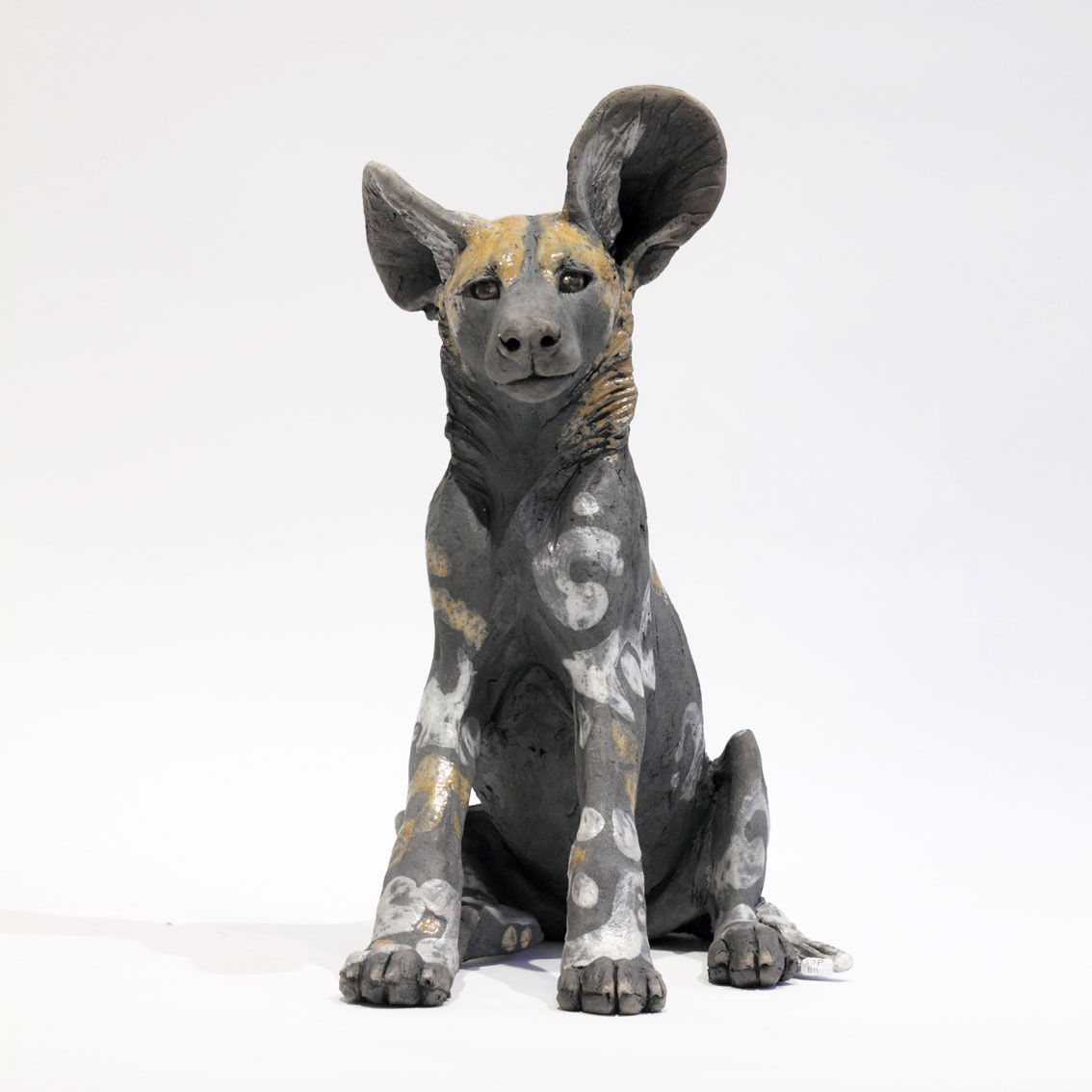 Nick Mackman, Wild Dog Pup Sitting Up IV