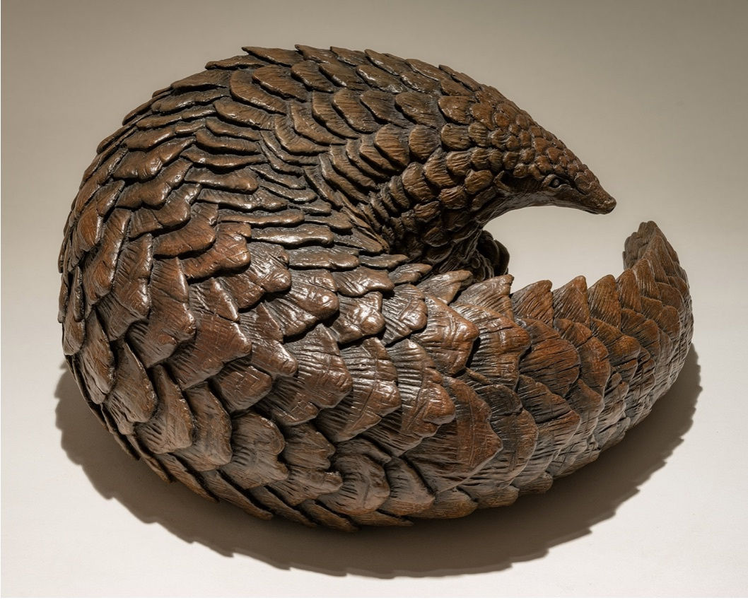 Nick Mackman, Pangolin