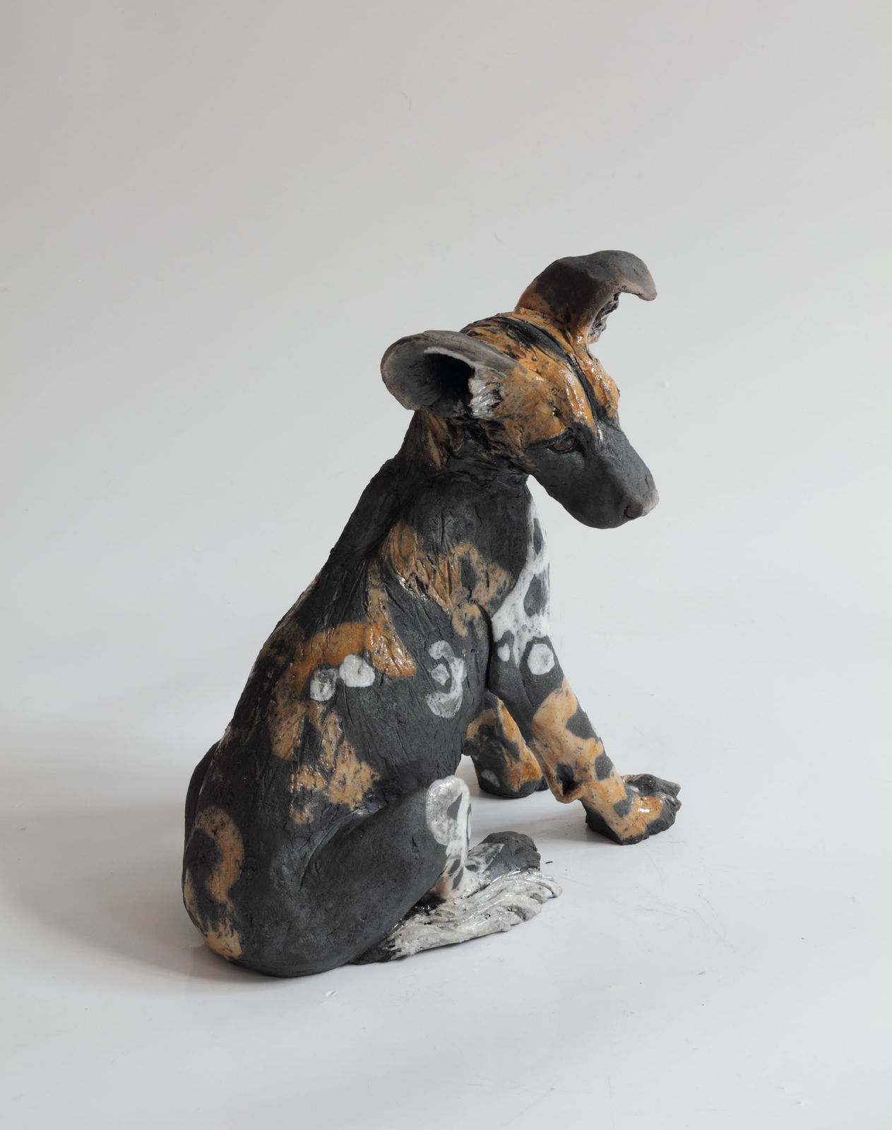 Nick Mackman, Wild Dog Pup with Floppy Ear