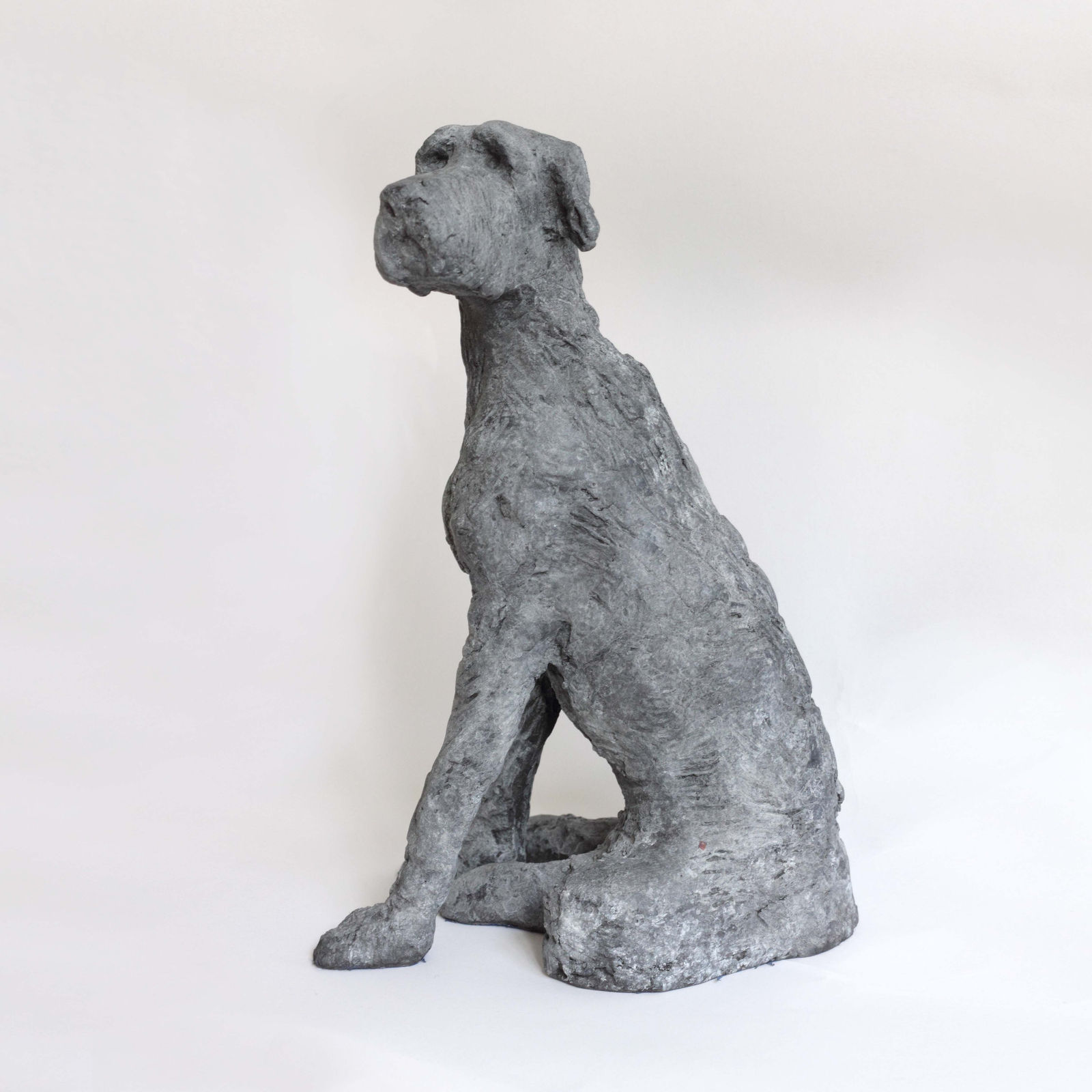Anthony Scott, Seated Wolfhound