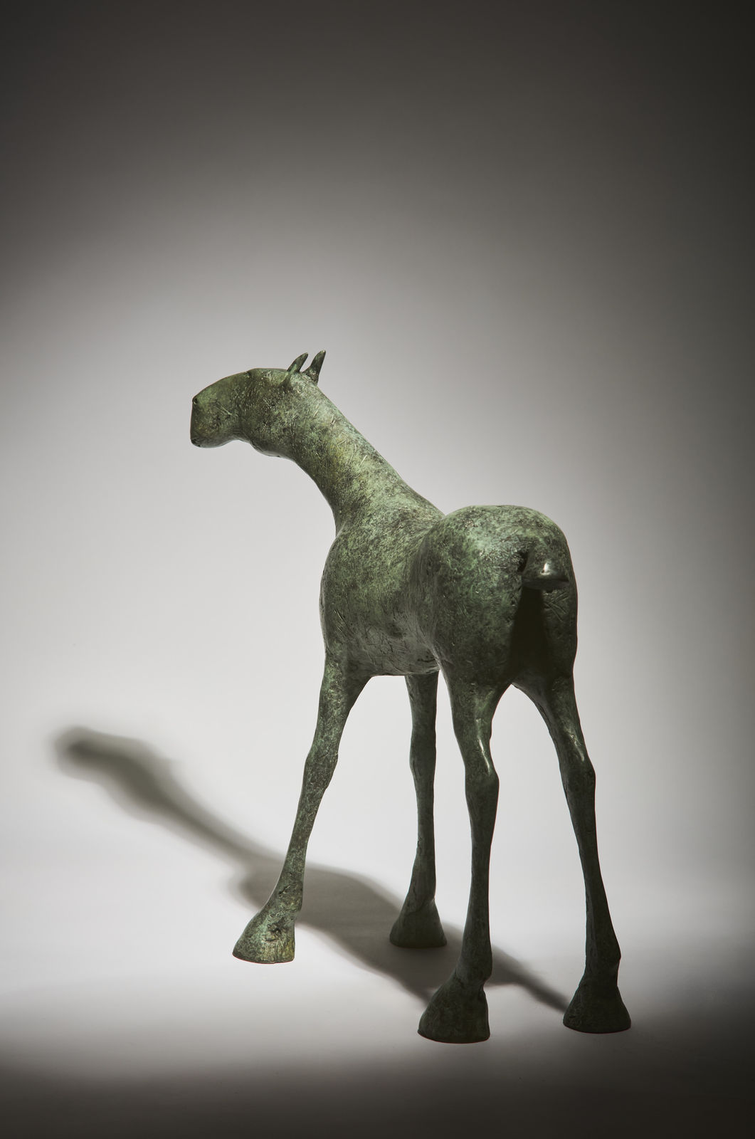 Anthony Scott, Macha