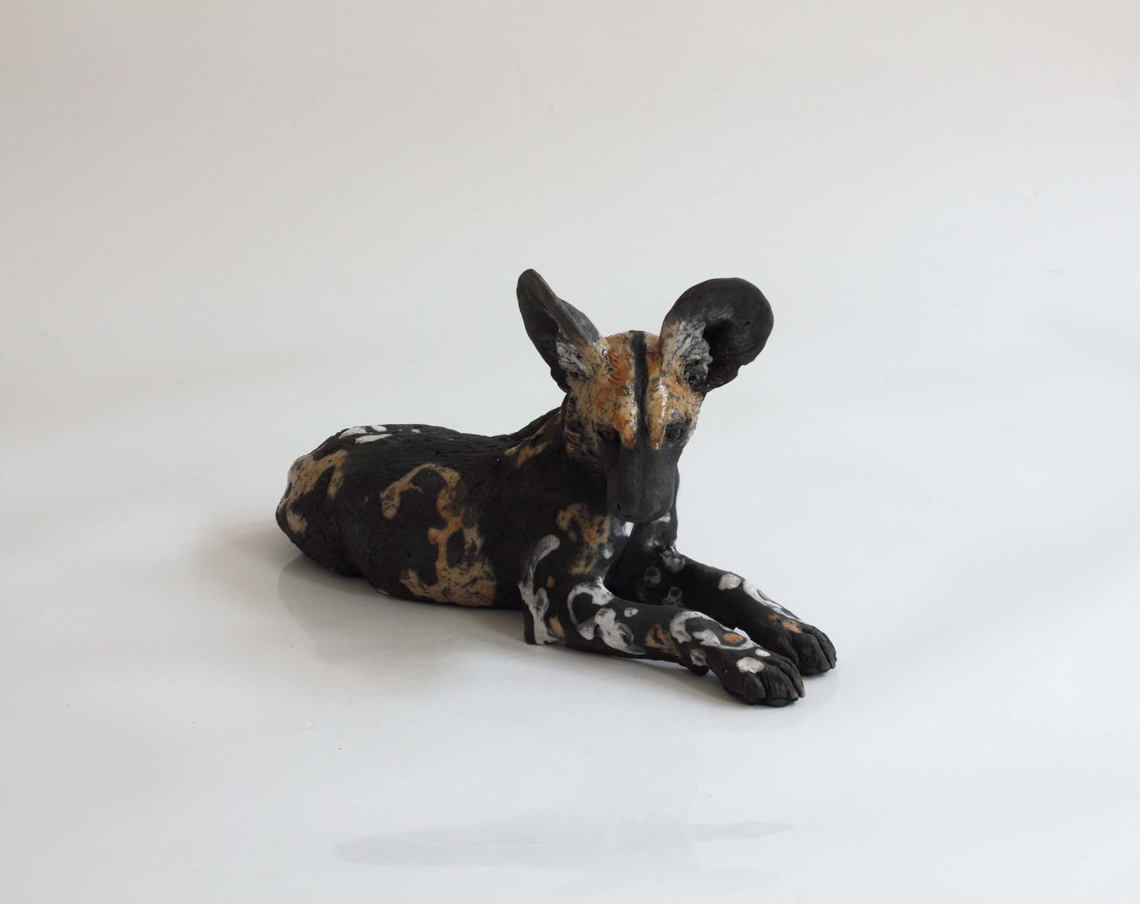 Nick Mackman, Wild Dog Pup Looking Ahead