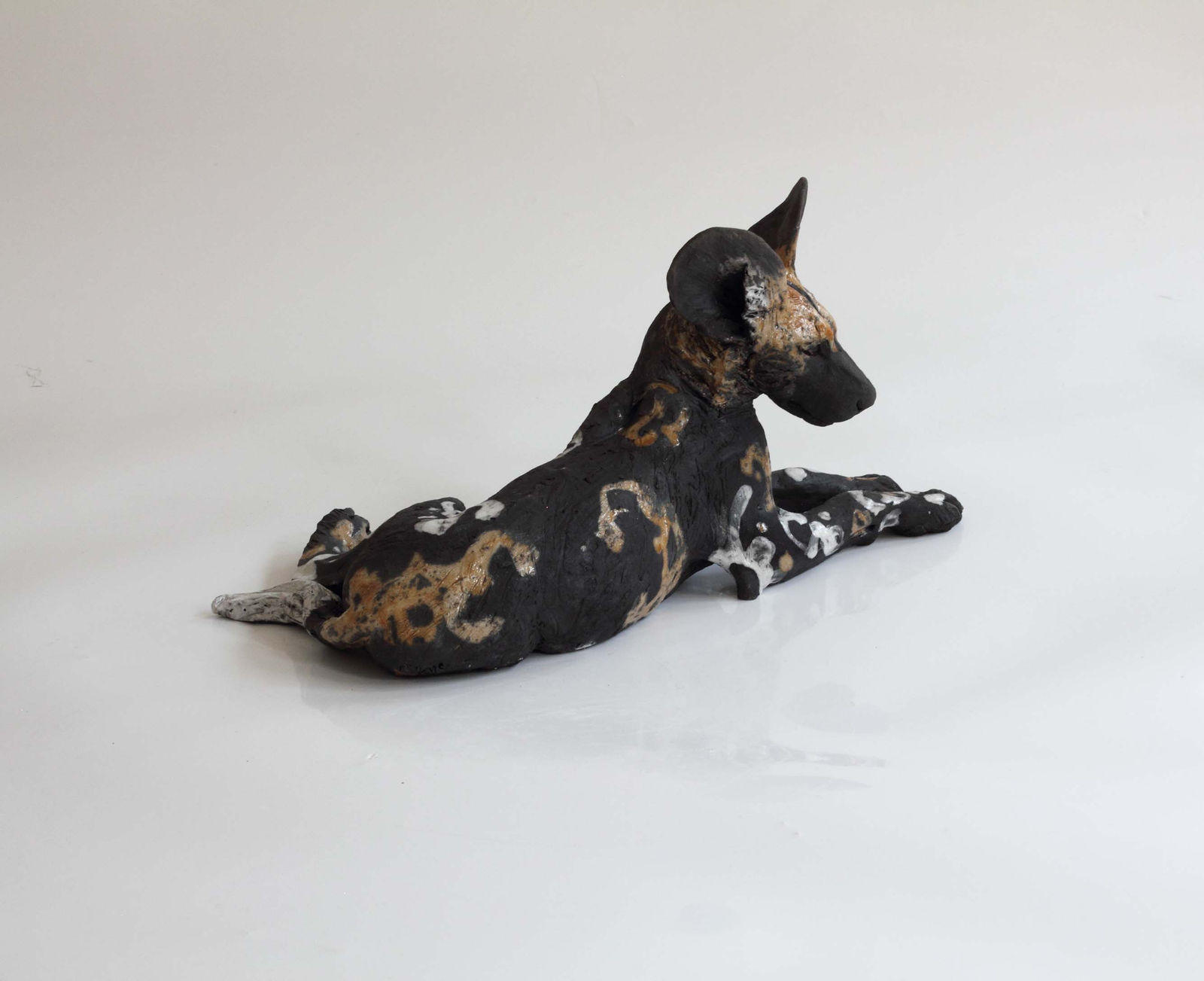 Nick Mackman, Wild Dog Pup Looking Ahead