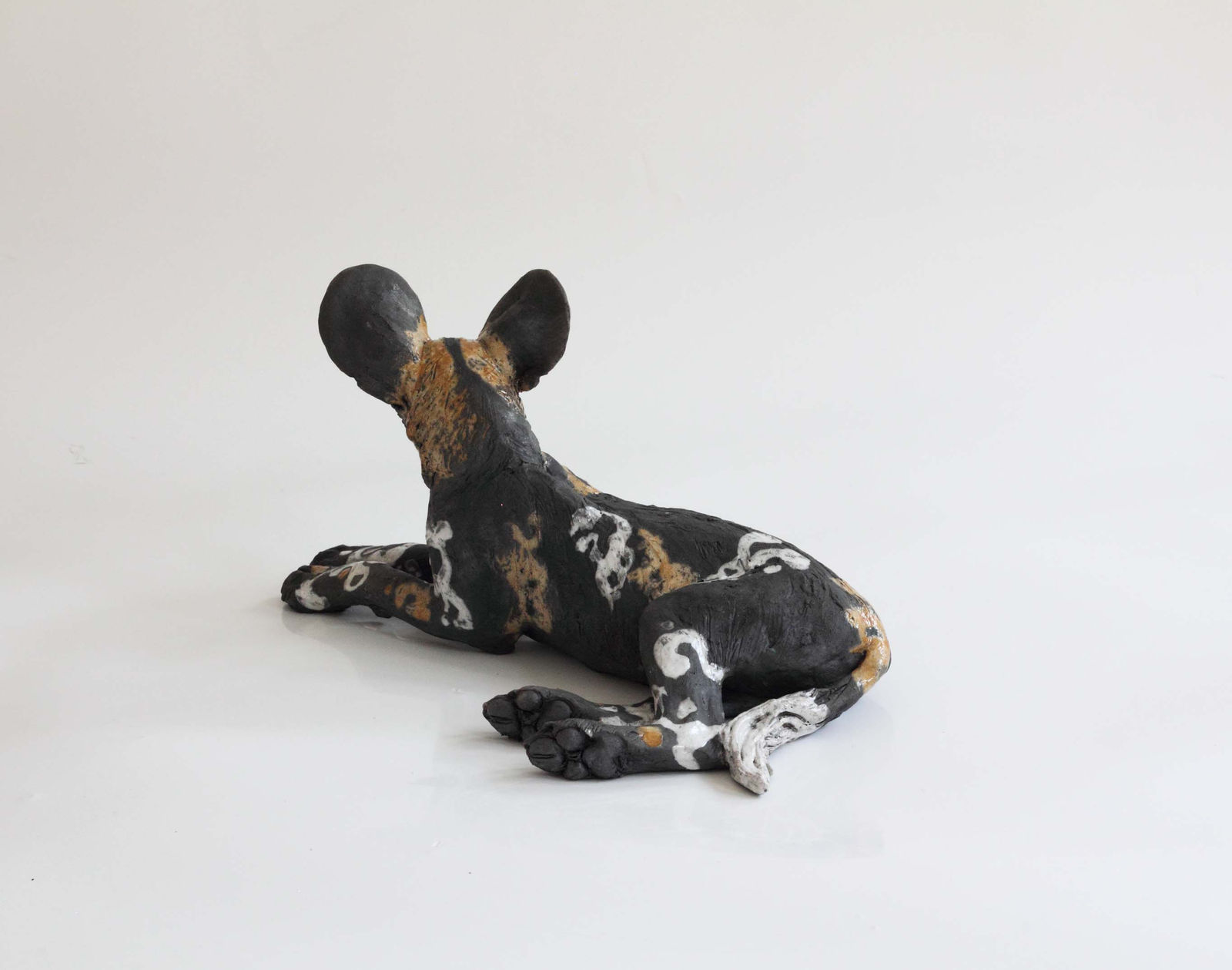 Nick Mackman, Wild Dog Pup Looking Ahead