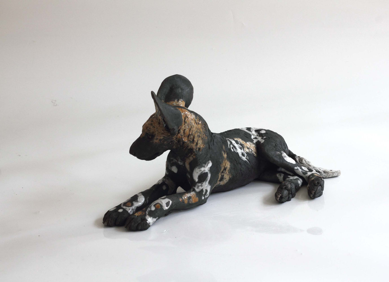 Nick Mackman, Wild Dog Pup Looking Ahead