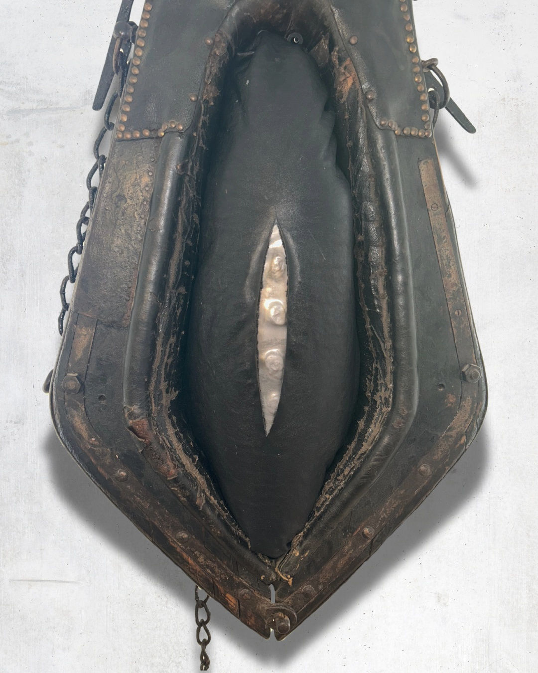 Liang Fu, Spine Boundary, 2025