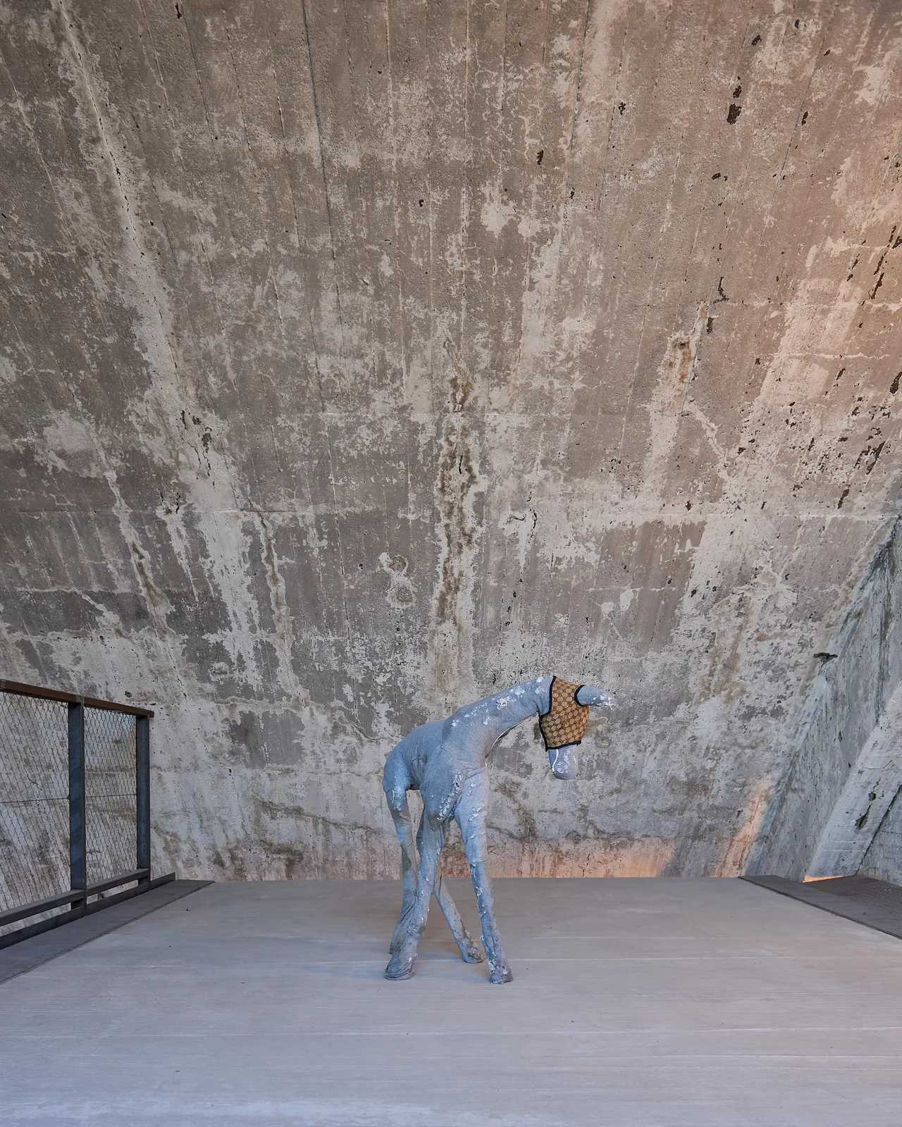 Hannah Rose Stewart, Jersey Foal, 2024