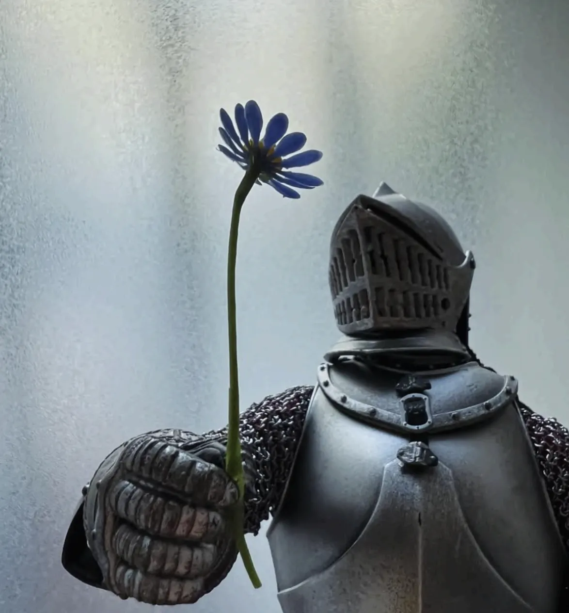 Anne de Vries, Little Herald, 2025