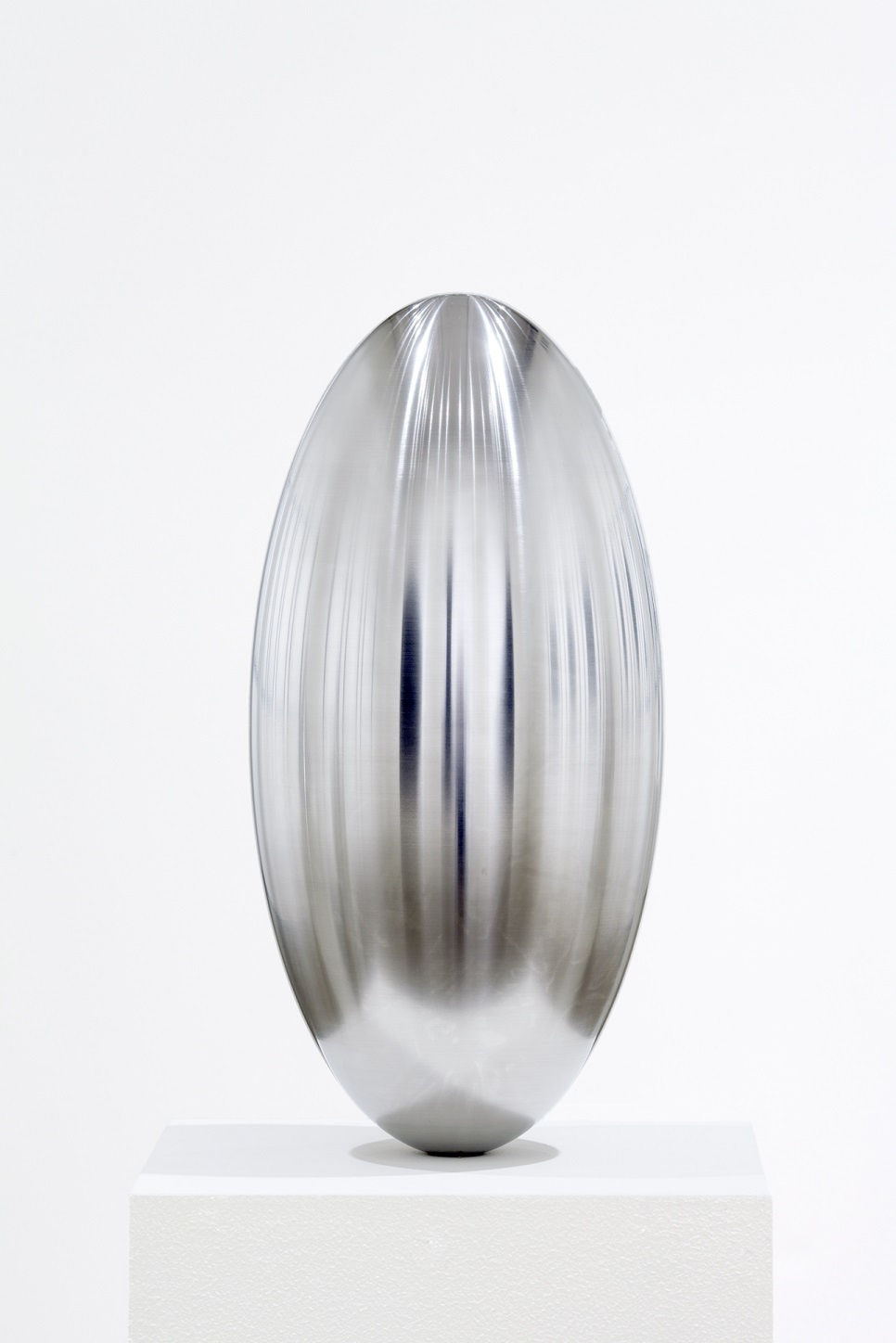 Jeff Overlie, Vesicle, 2011