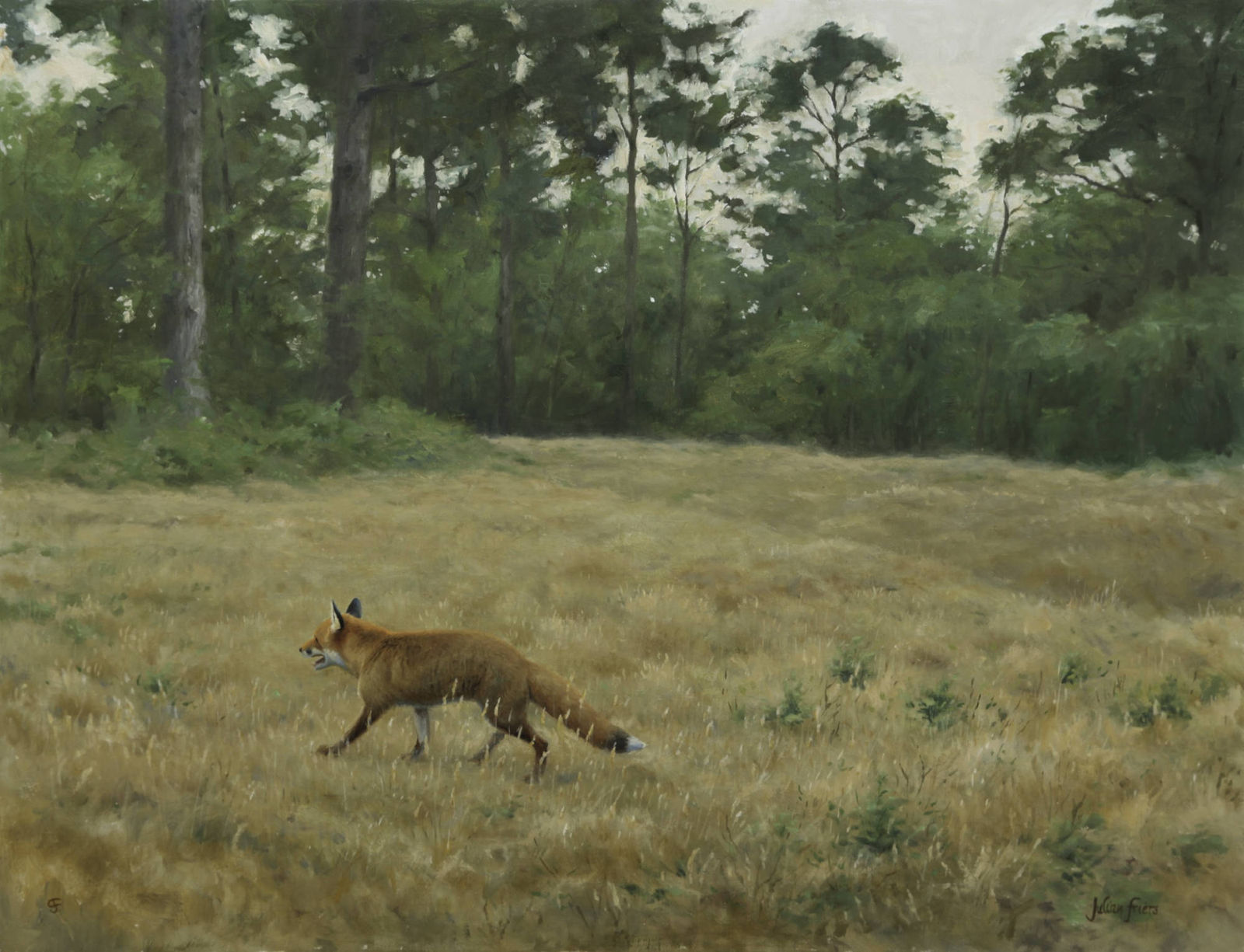 Julian Friers PPRUA, Local Round - Fox