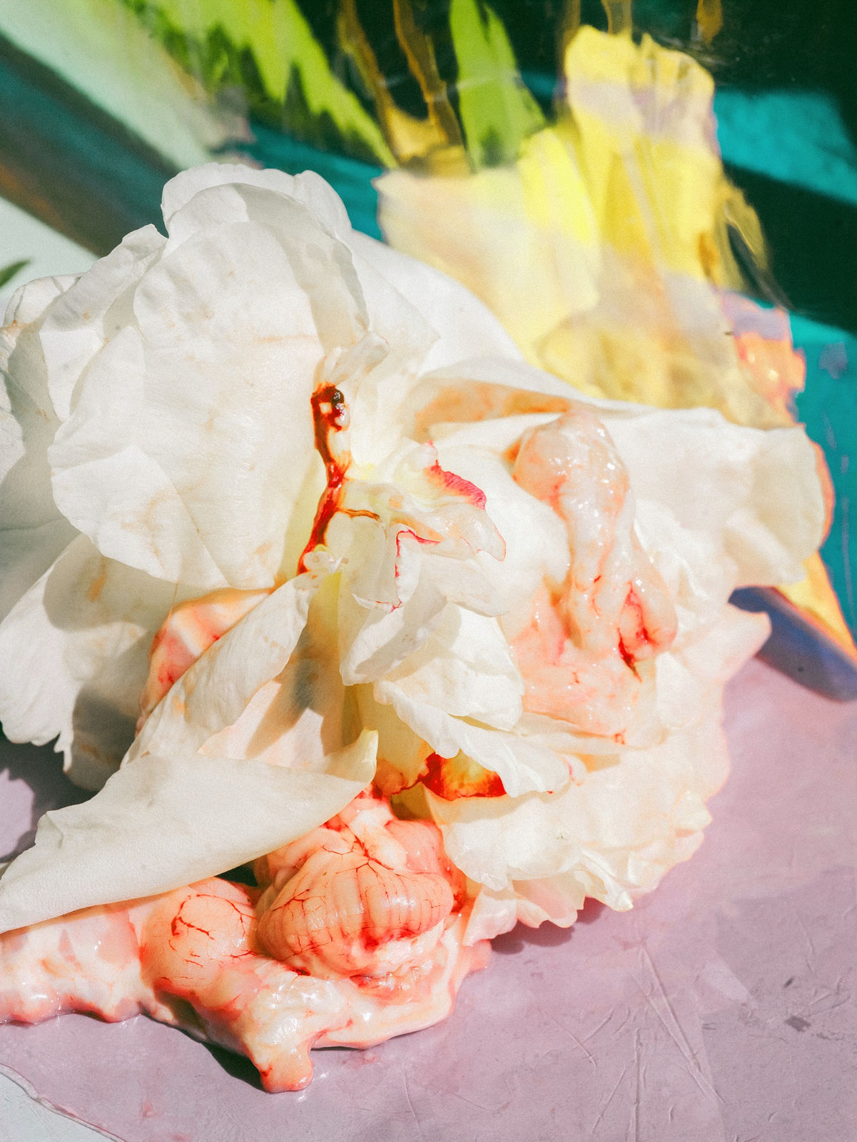 Lucile Boiron, Untitled , 2020