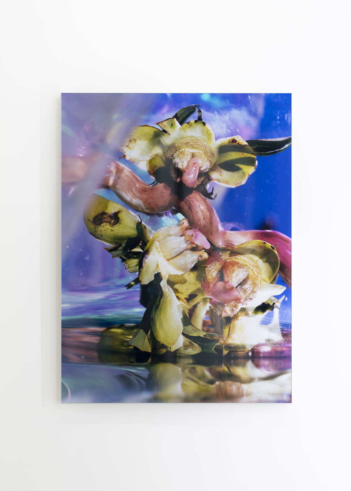 Lucile Boiron, Genèse II, Mater, 2022