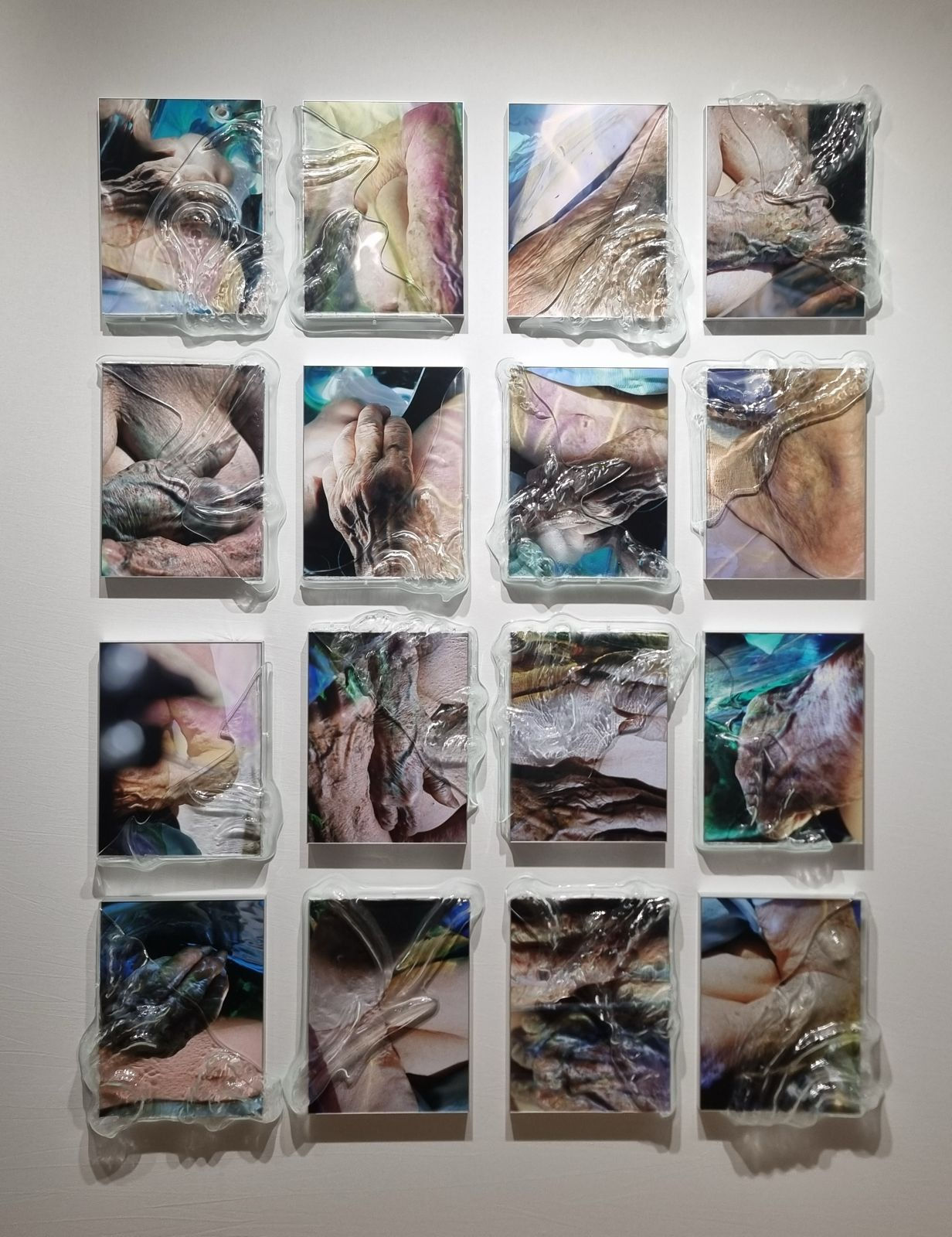 Lucile Boiron, Loup y es-tu ?, 2024