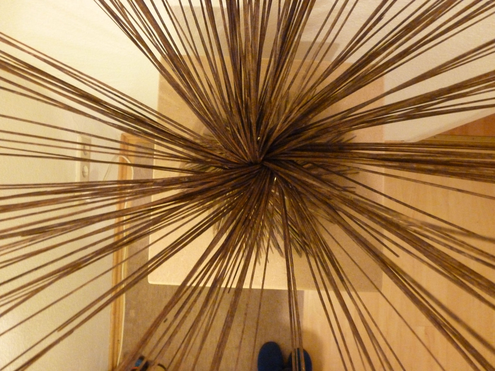 Helgard Zurmuehl, In Contrast To, 2016