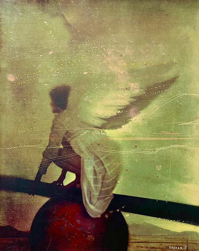 KAMIL VOJNAR, Acrobat with Wings