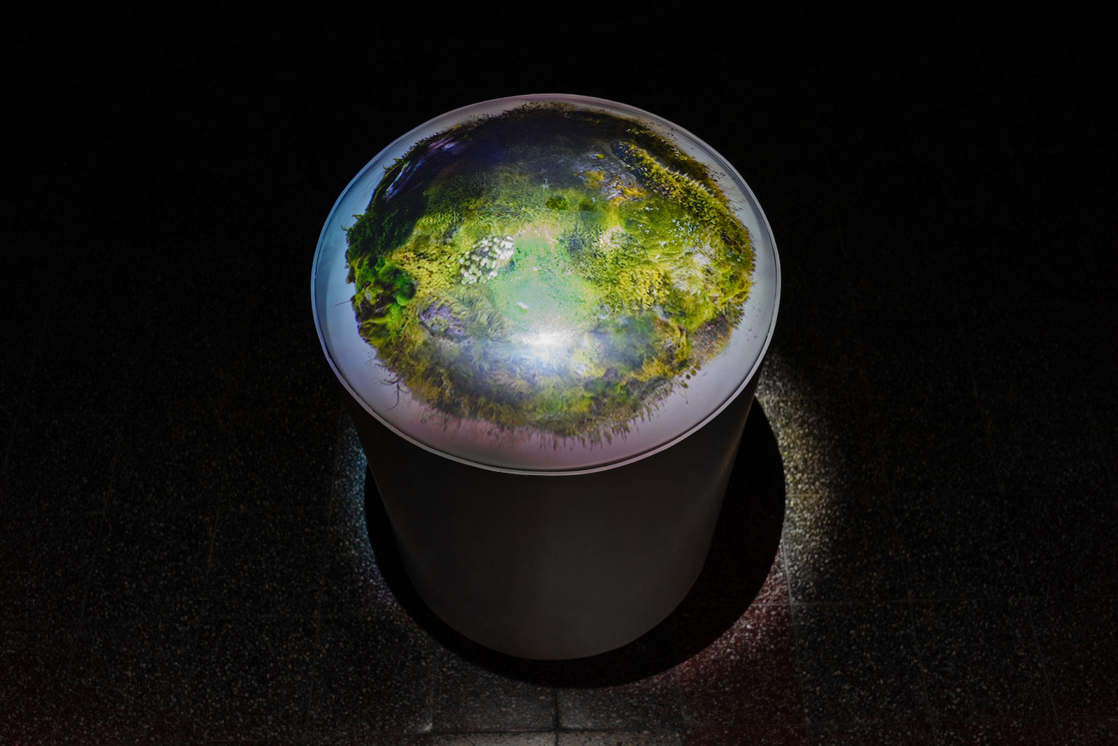 Rohini Devasher, Terrasphere, 2015