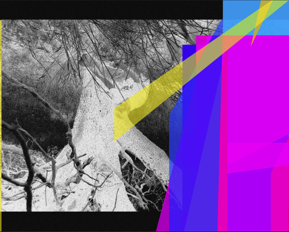 Julio César Morales, Strangers When We Meet #1, 2019