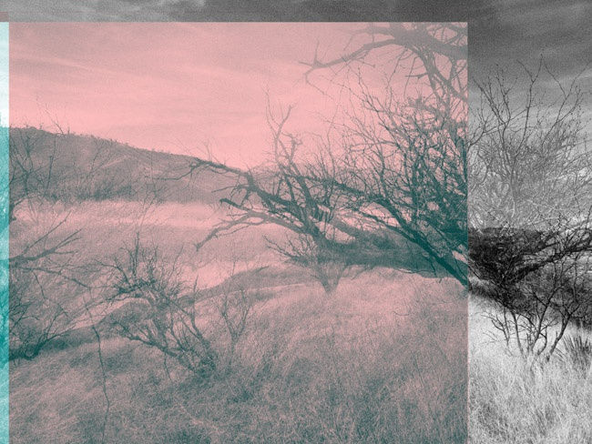 Julio César Morales, We are the Dead #5, 2013