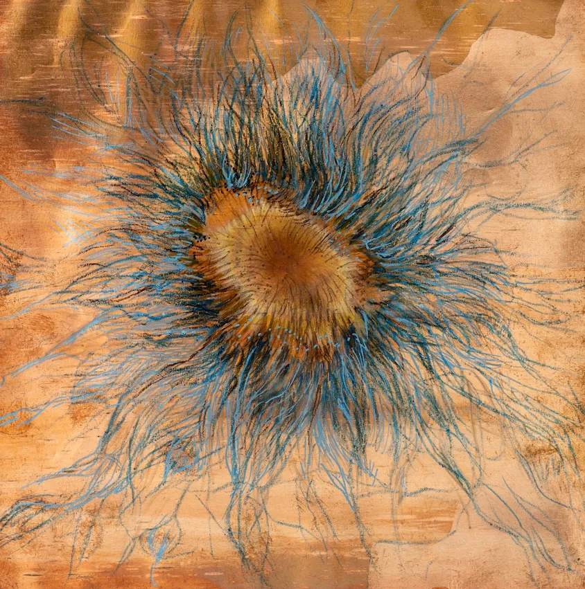 Rohini Devasher, Sol Drawing 10, 2023