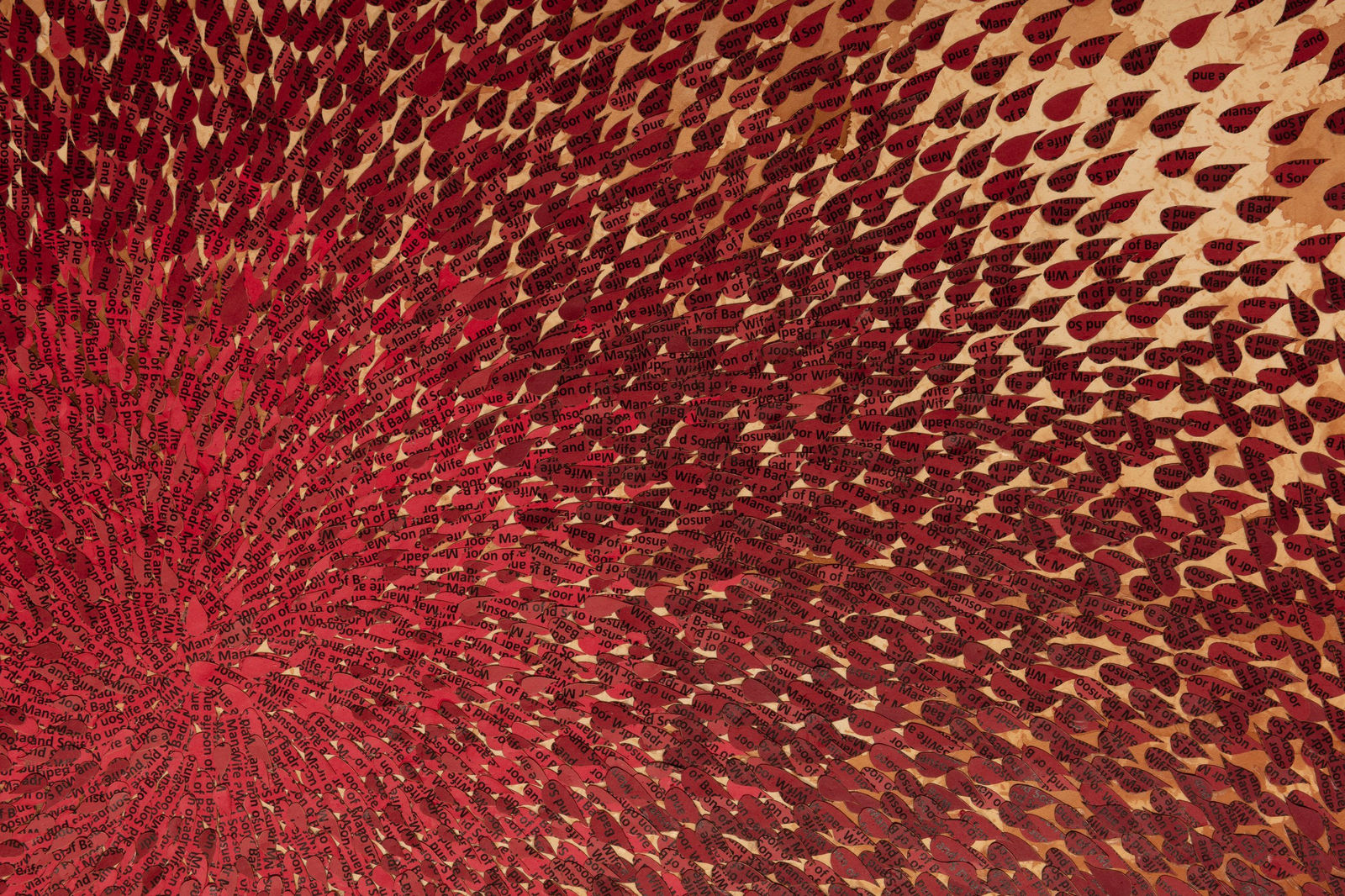 Ambreen Butt, Installation view, 