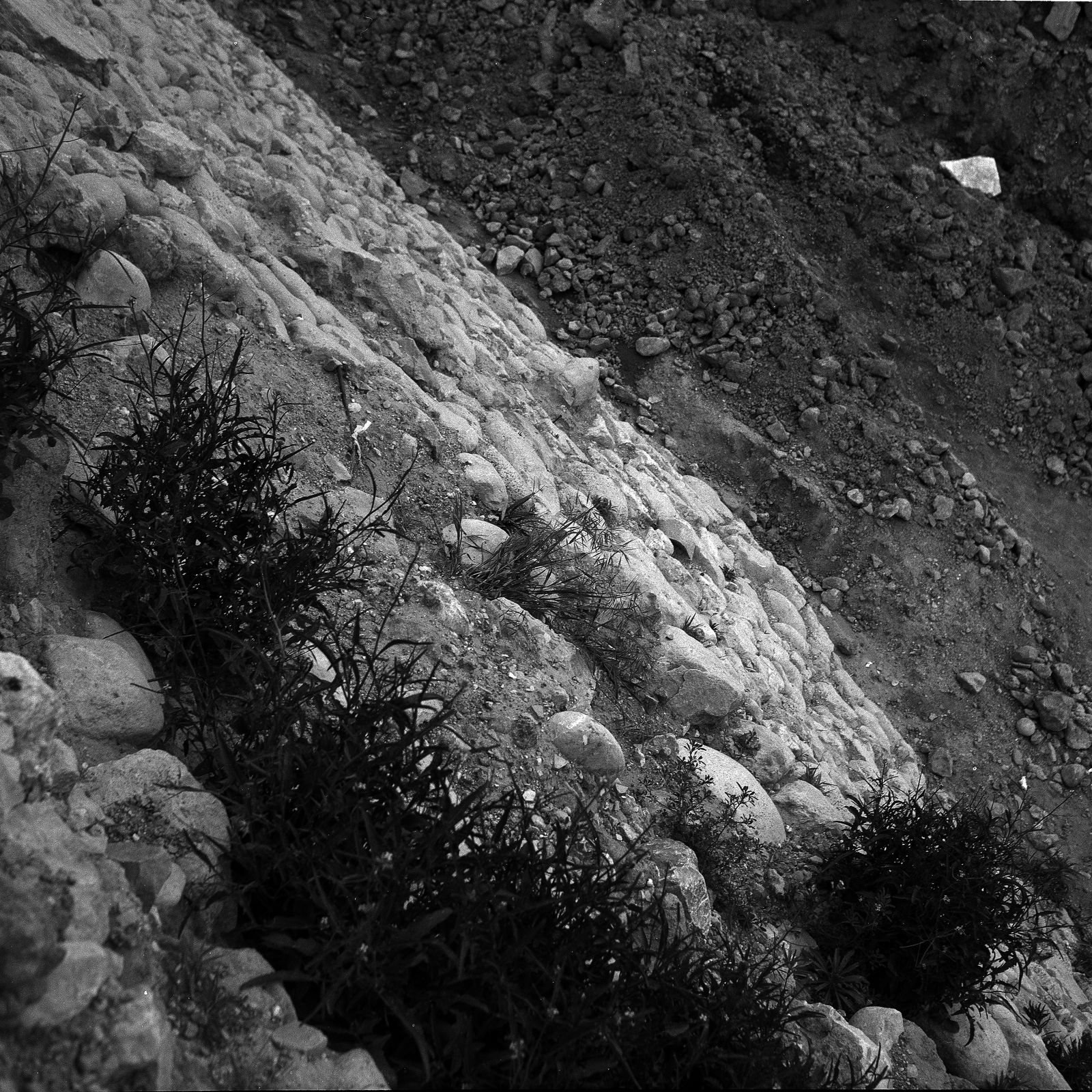 Paola Yacoub F4, 1994 Gelatin silver print on baryta paper 78 x 78 cm.