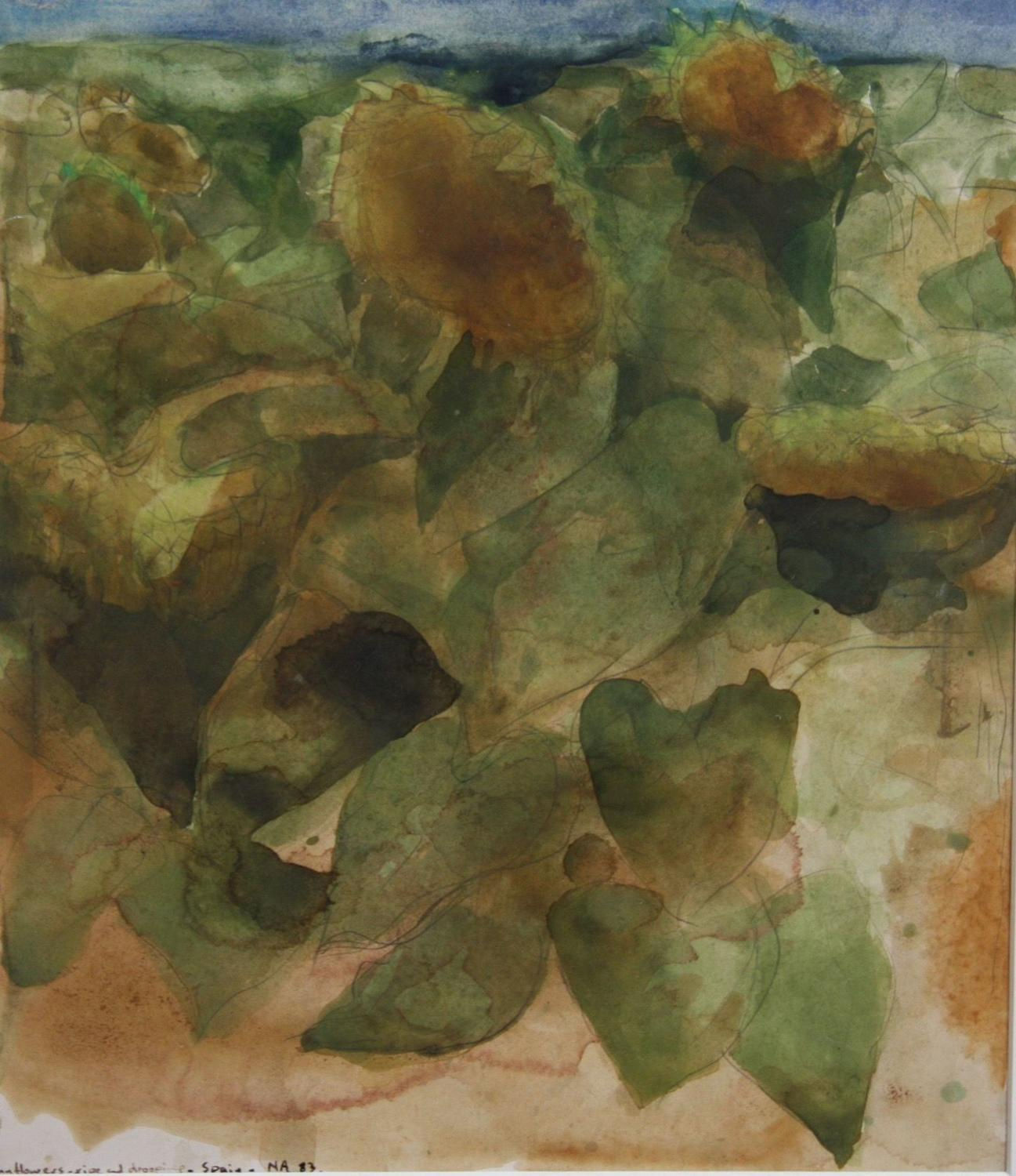 Norman Adams RA, 'Drooping sunflowers'', 1983