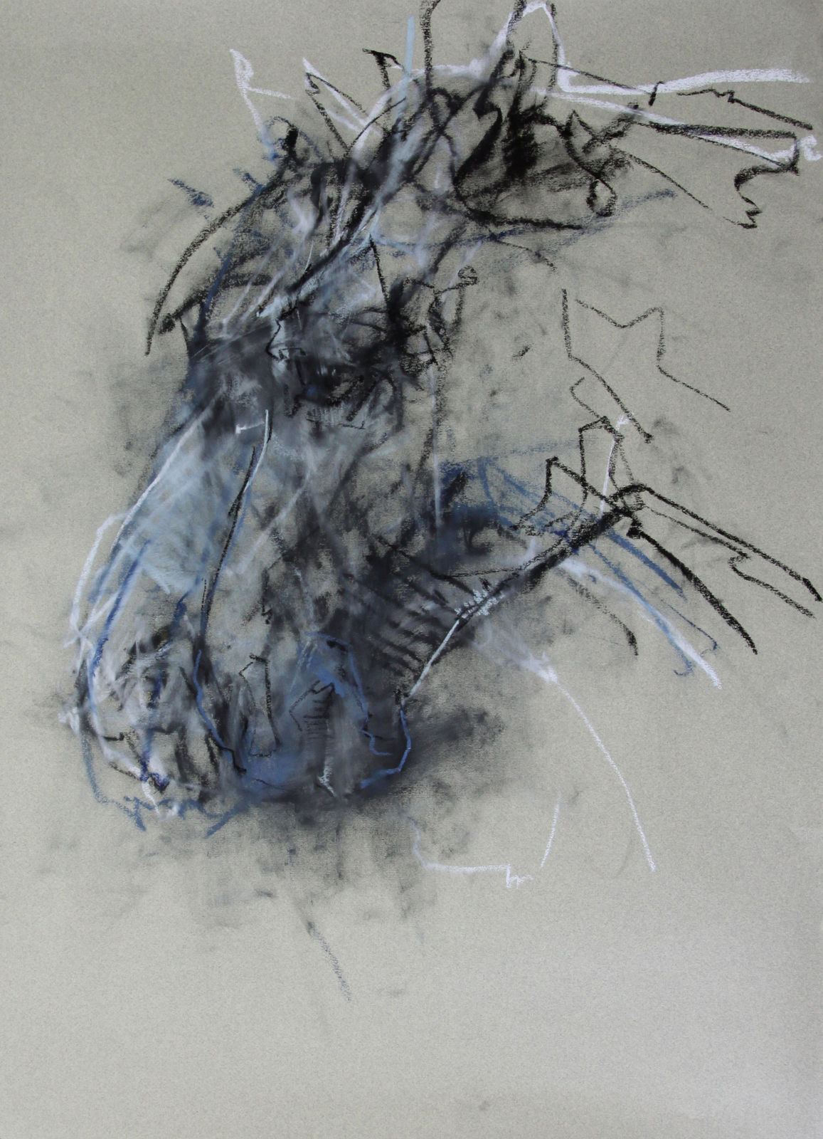 Cian McLoughlin, Horse, 2011