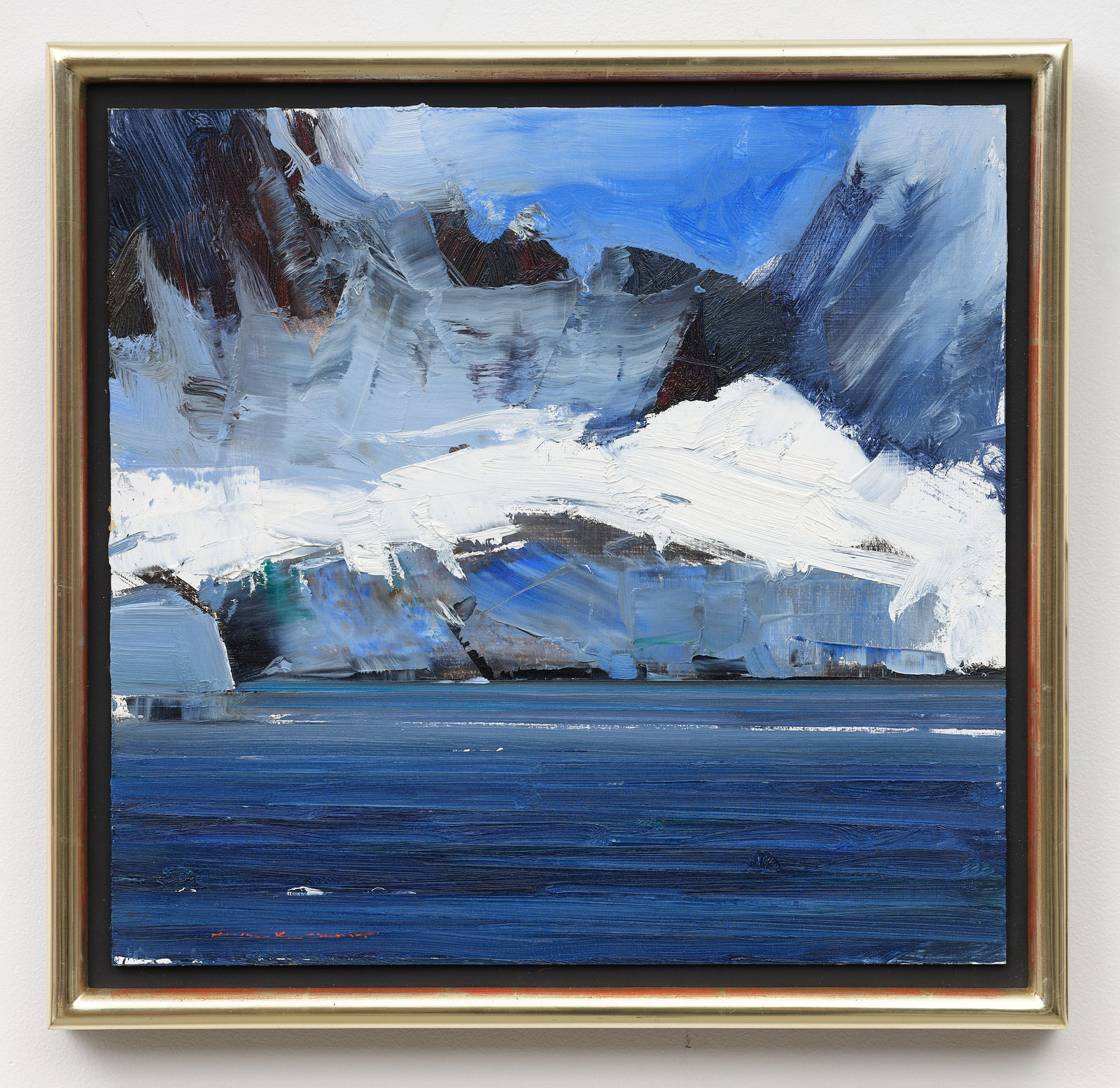 Ken Knight, Pleneau Island, Antarctica 8th Feb. 2020 2:07 pm. 65°10'S, 64°05'W