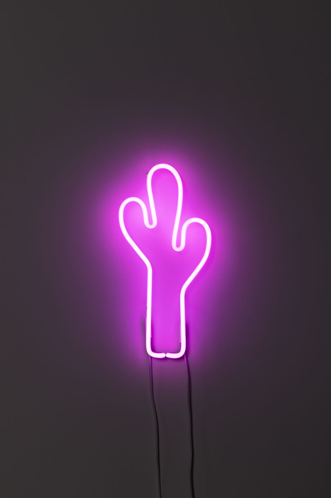 Claudia Comte, Neon Cactus (pink), 2020
