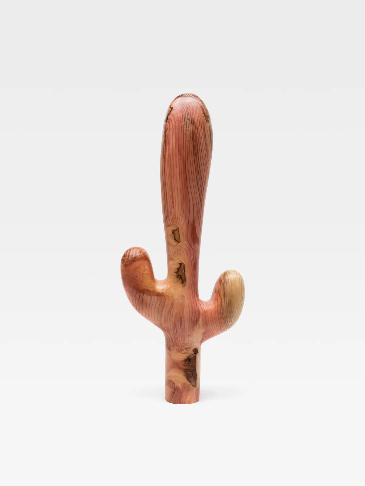 Claudia Comte, Matthaeus (wooden cactus), 2022