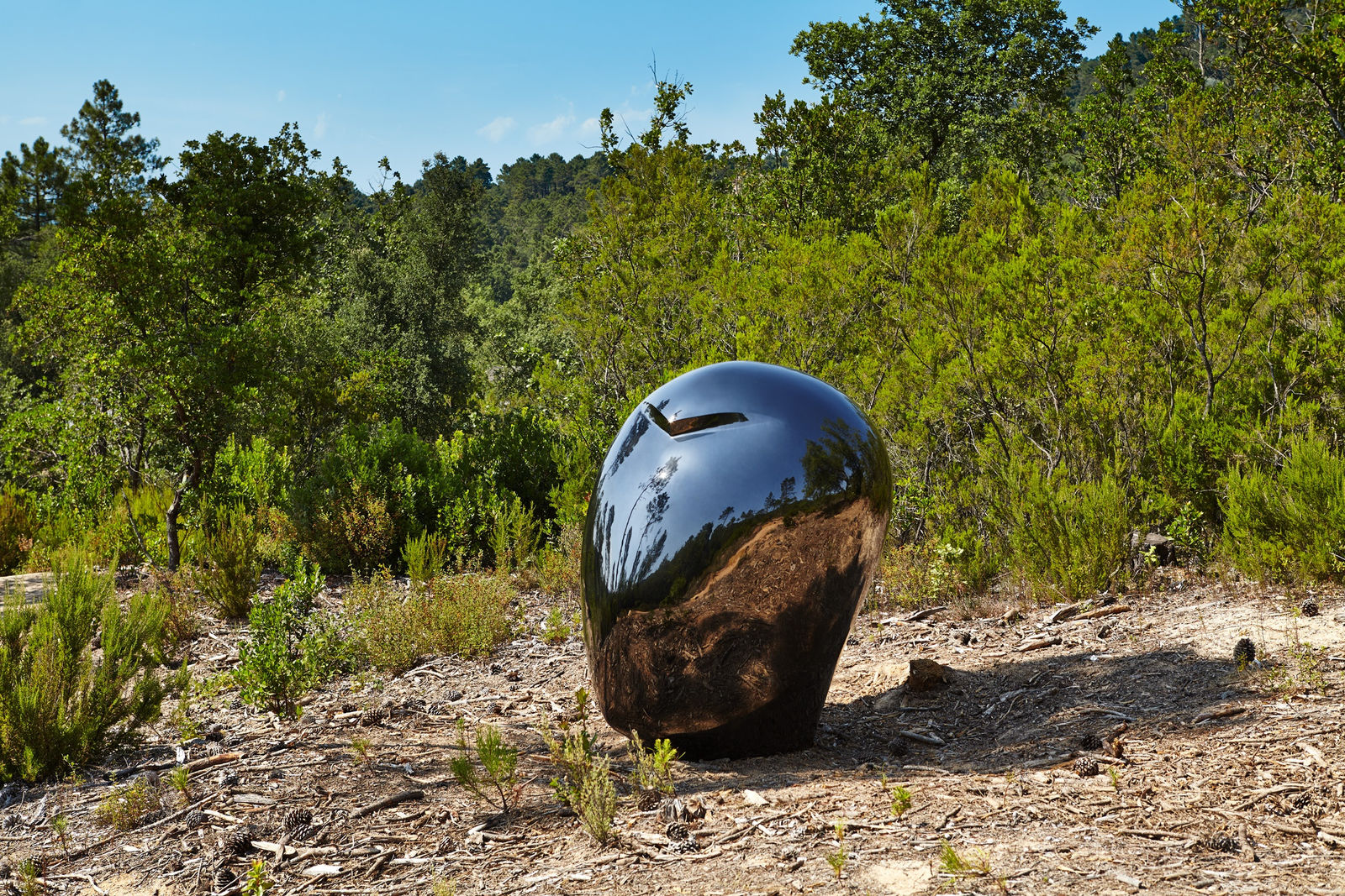 Not Vital, HEAD (Li Gao), 2013