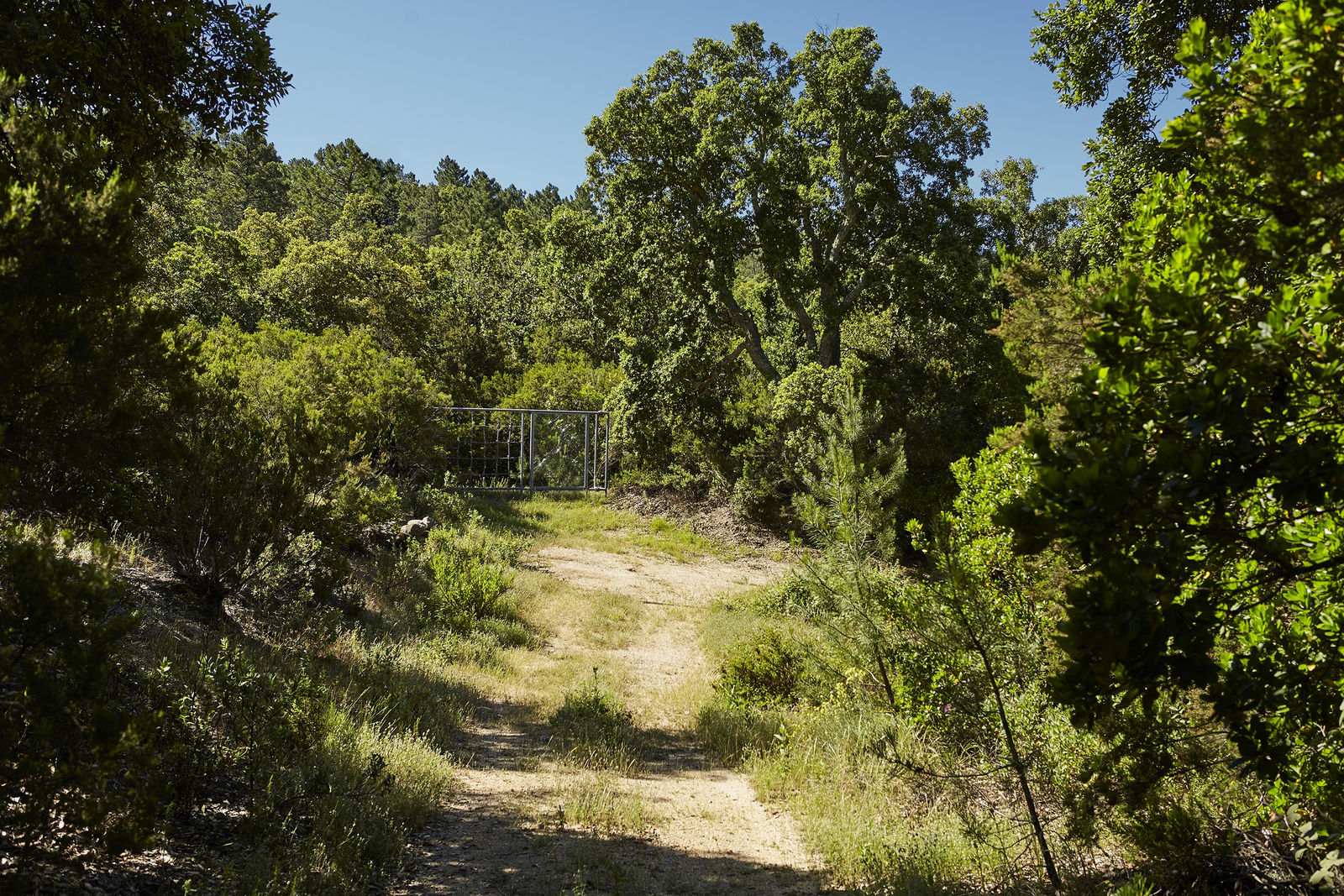 Monica Bonvicini, Stonewall, 2006