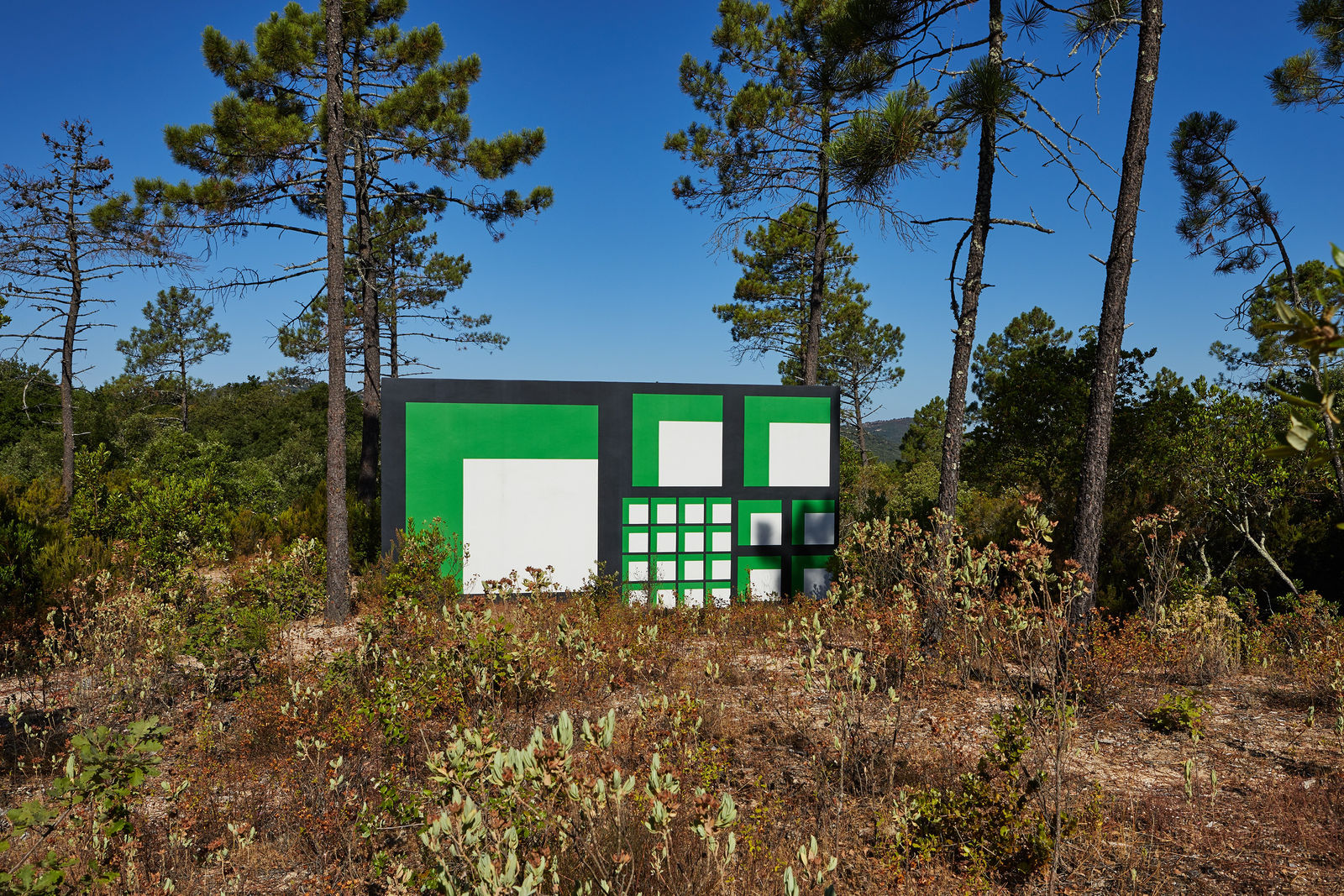 Claudia Comte, 128 squares and their demonstration, 2015