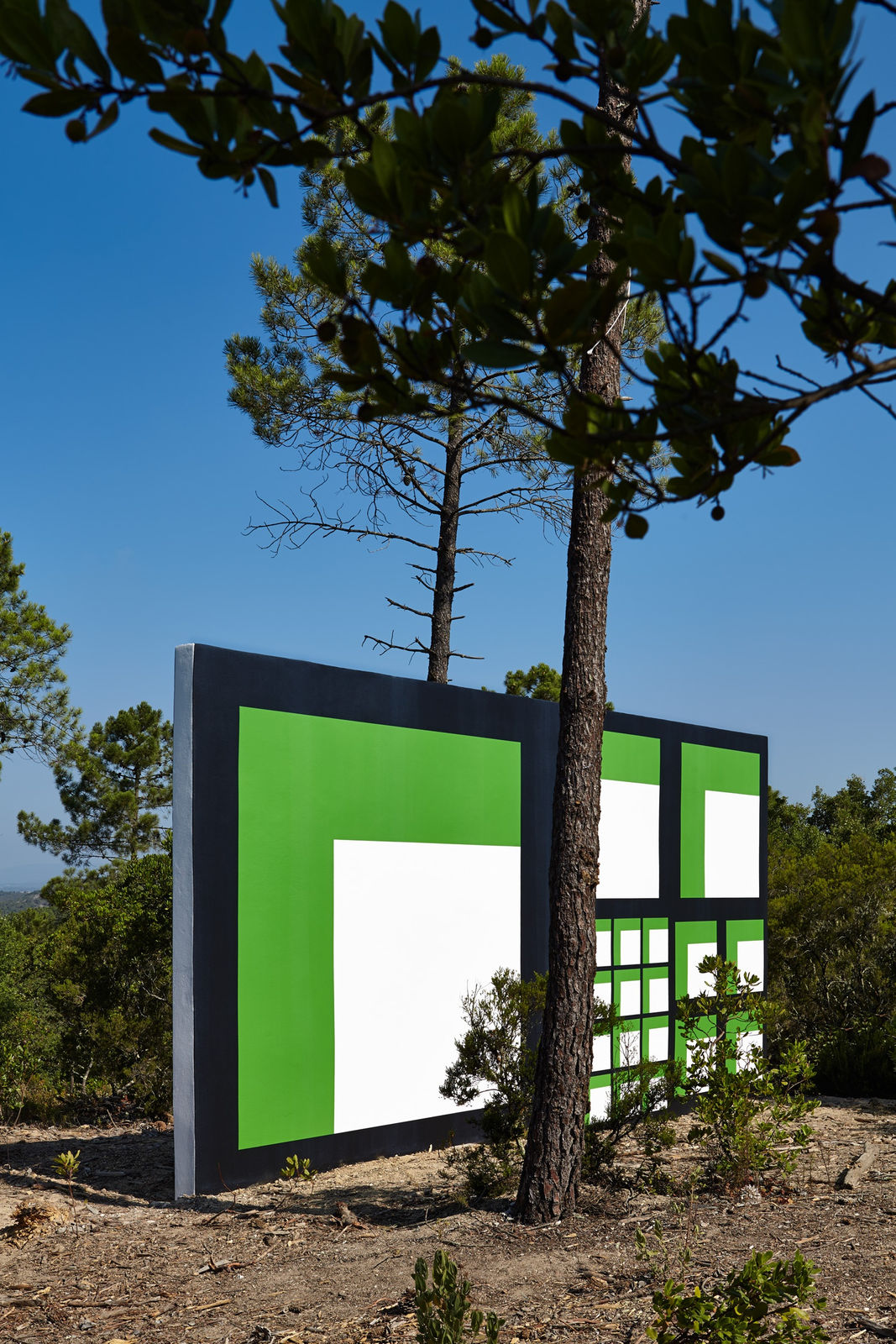 Claudia Comte, 128 squares and their demonstration, 2015