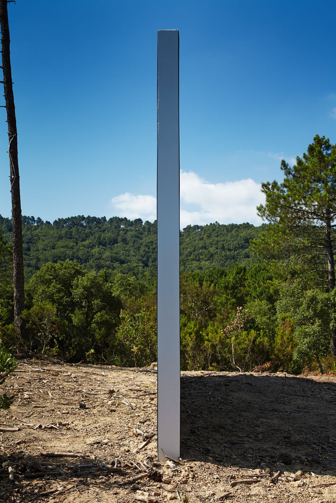 Claudia Comte, 128 squares and their demonstration, 2015