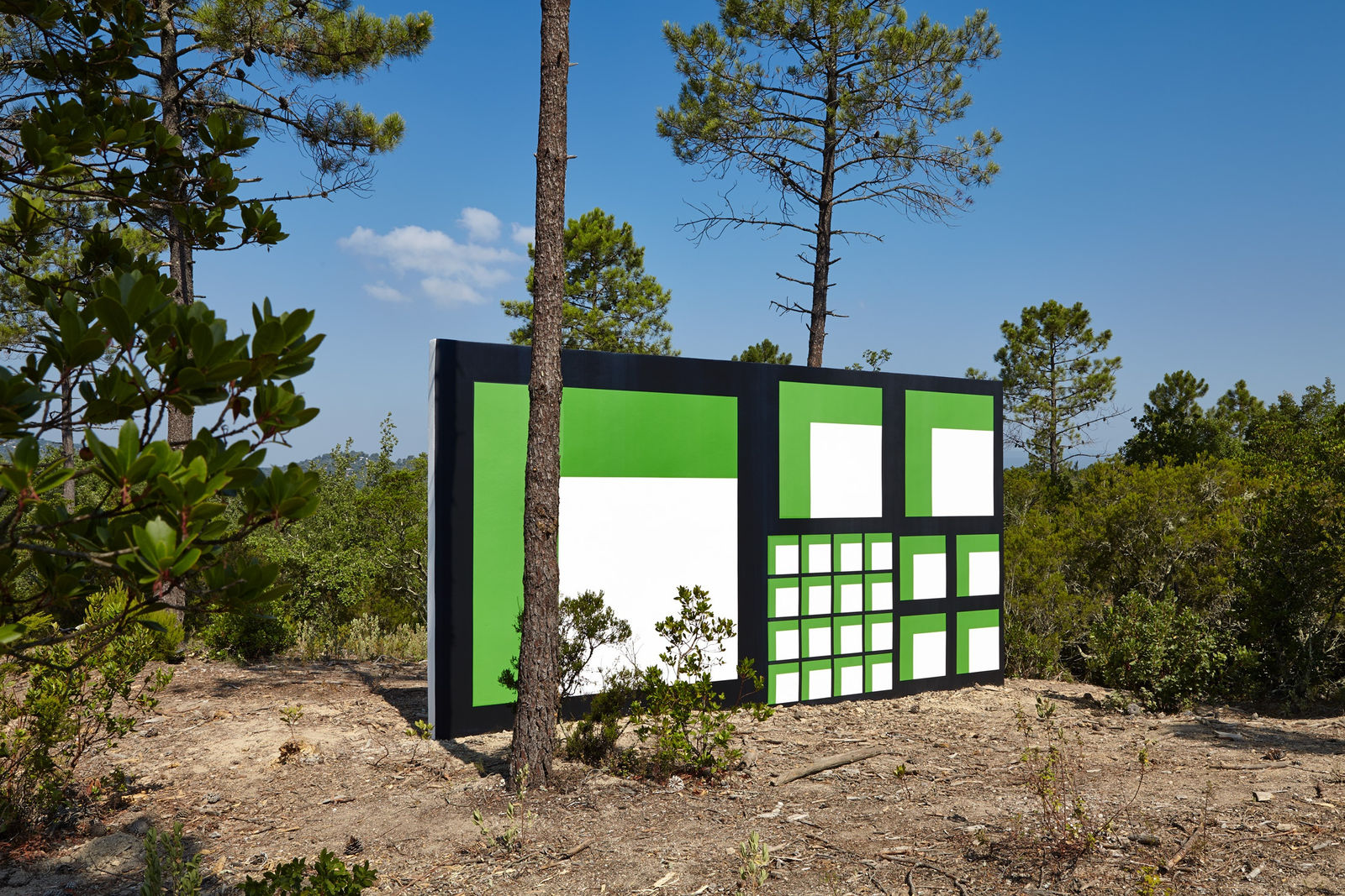 Claudia Comte, 128 squares and their demonstration, 2015