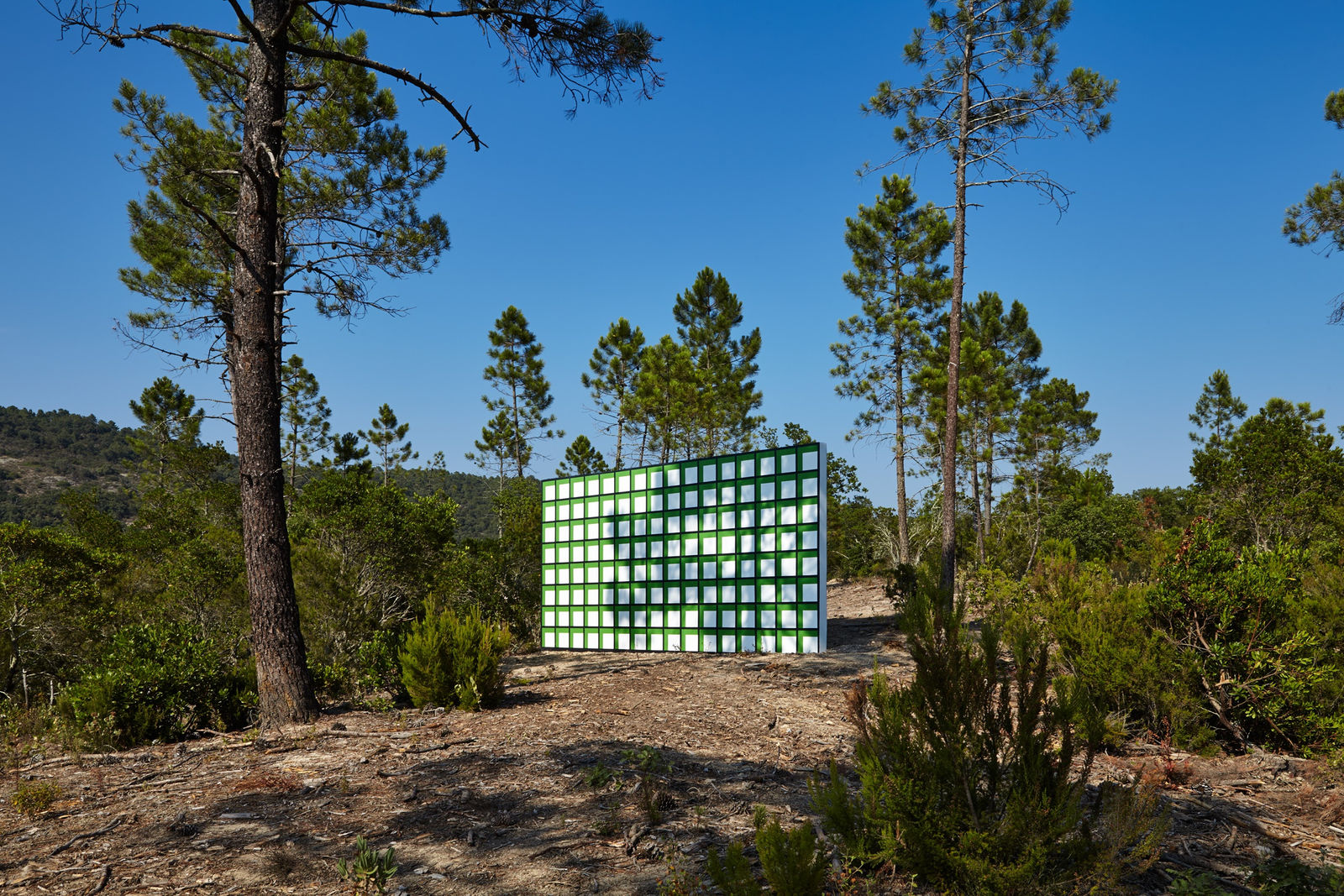 Claudia Comte, 128 squares and their demonstration, 2015