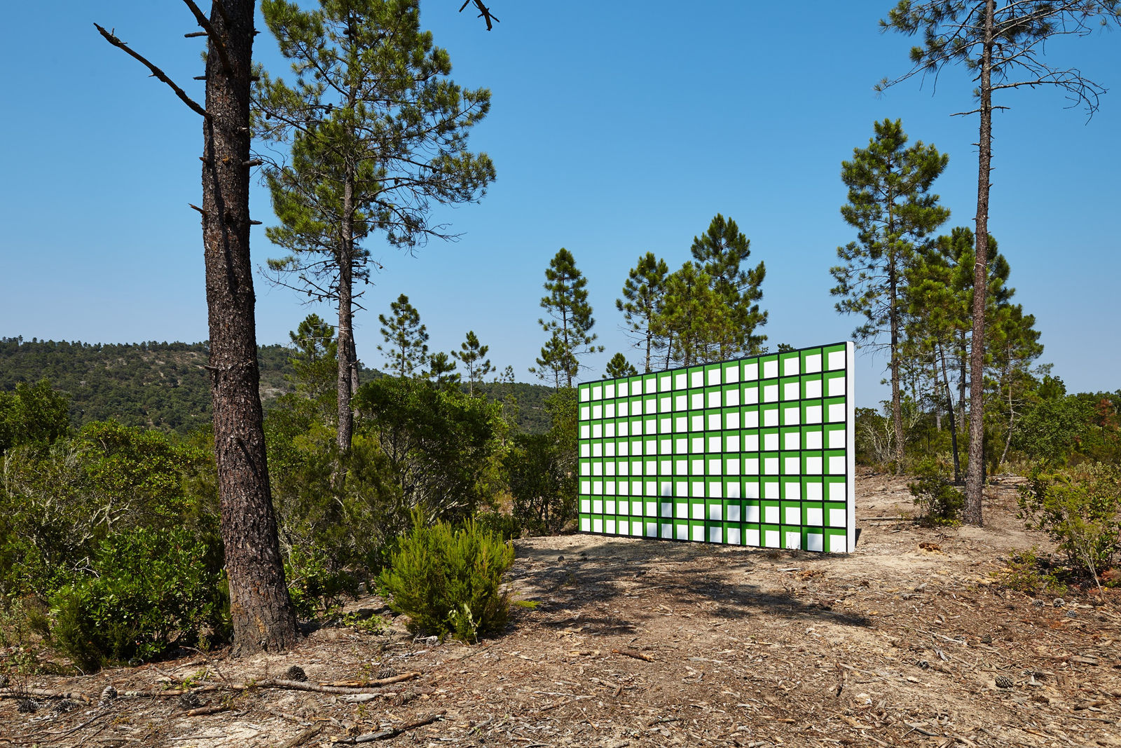 Claudia Comte, 128 squares and their demonstration, 2015