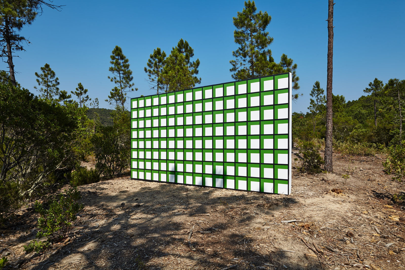 Claudia Comte, 128 squares and their demonstration, 2015