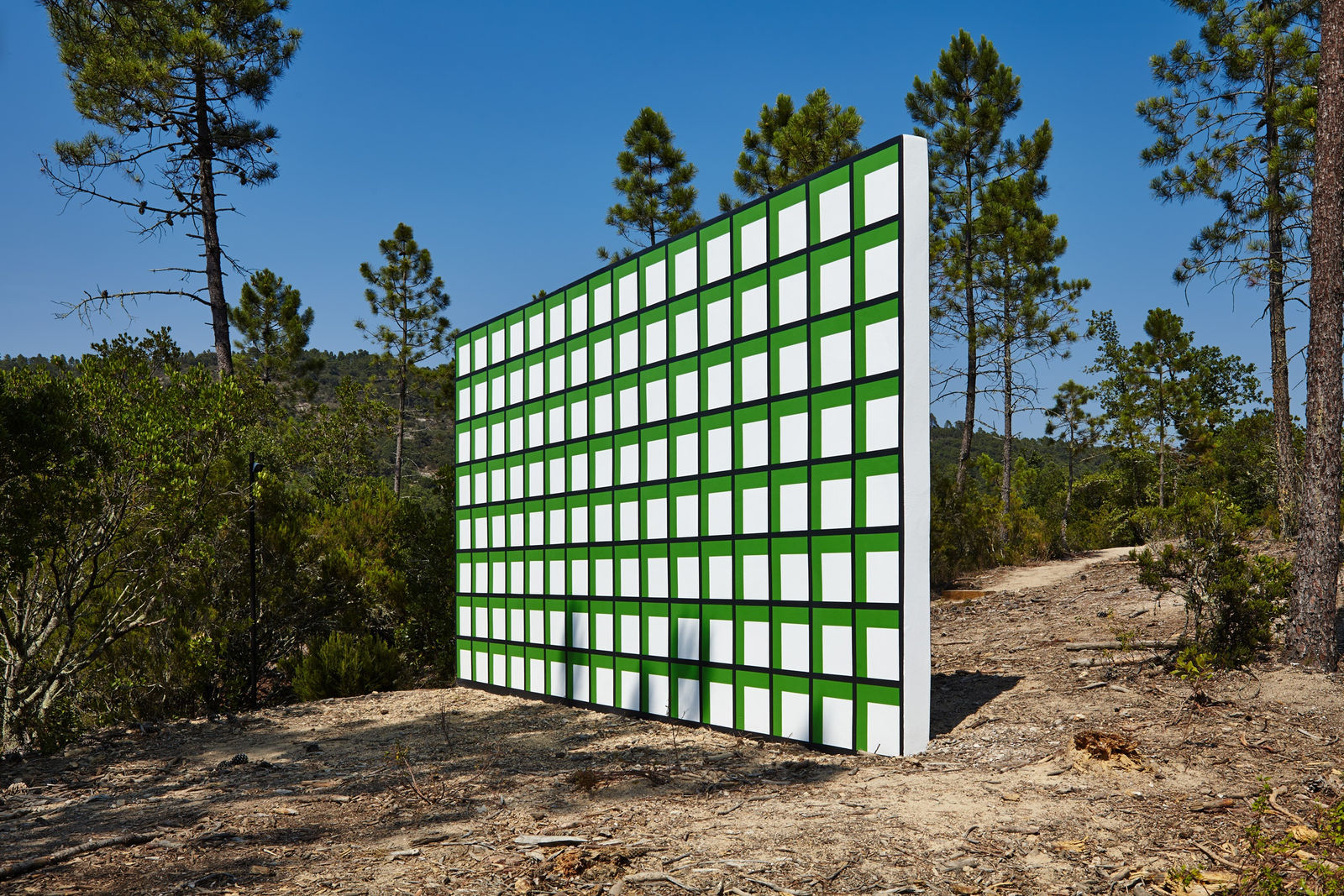 Claudia Comte, 128 squares and their demonstration, 2015