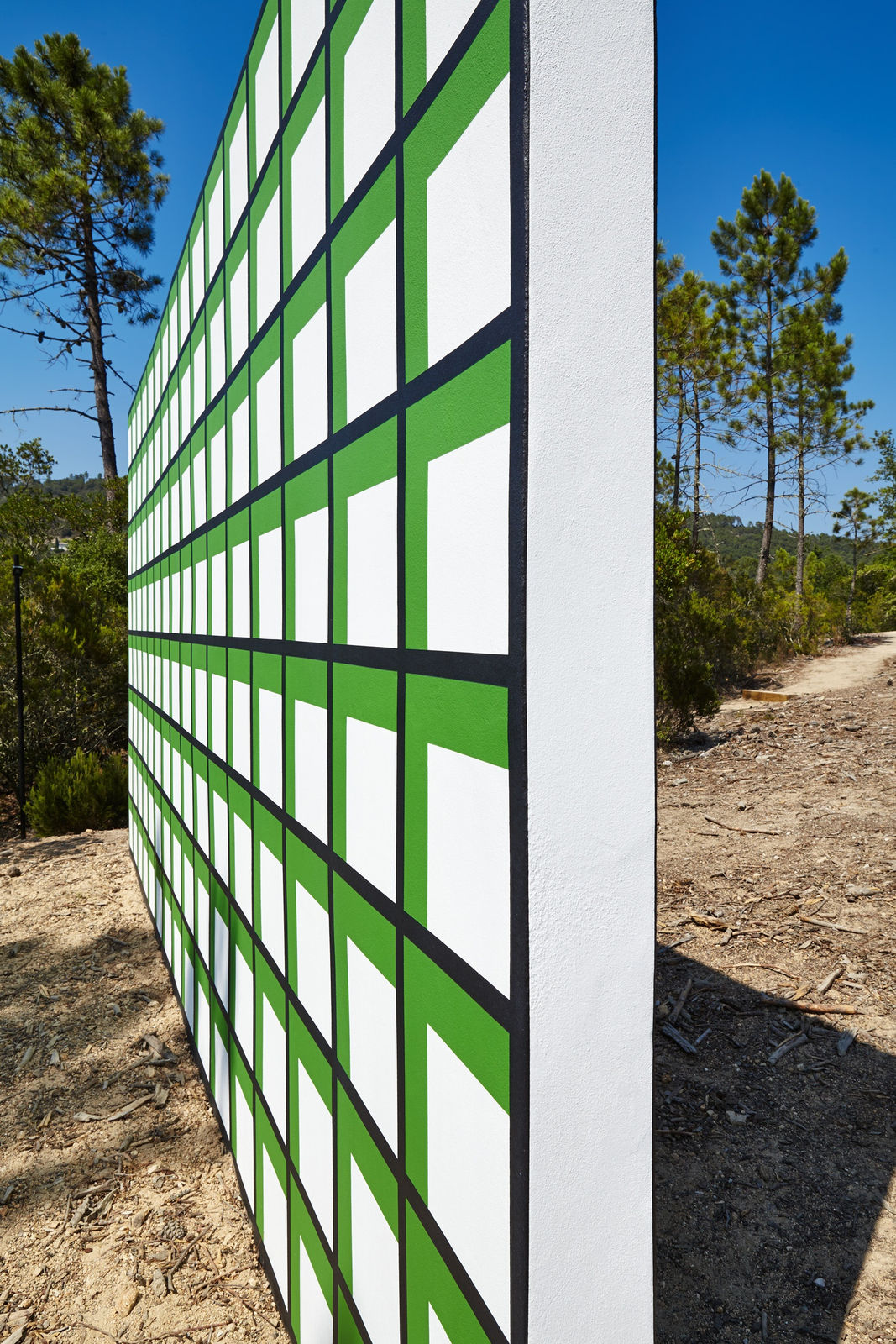 Claudia Comte, 128 squares and their demonstration, 2015