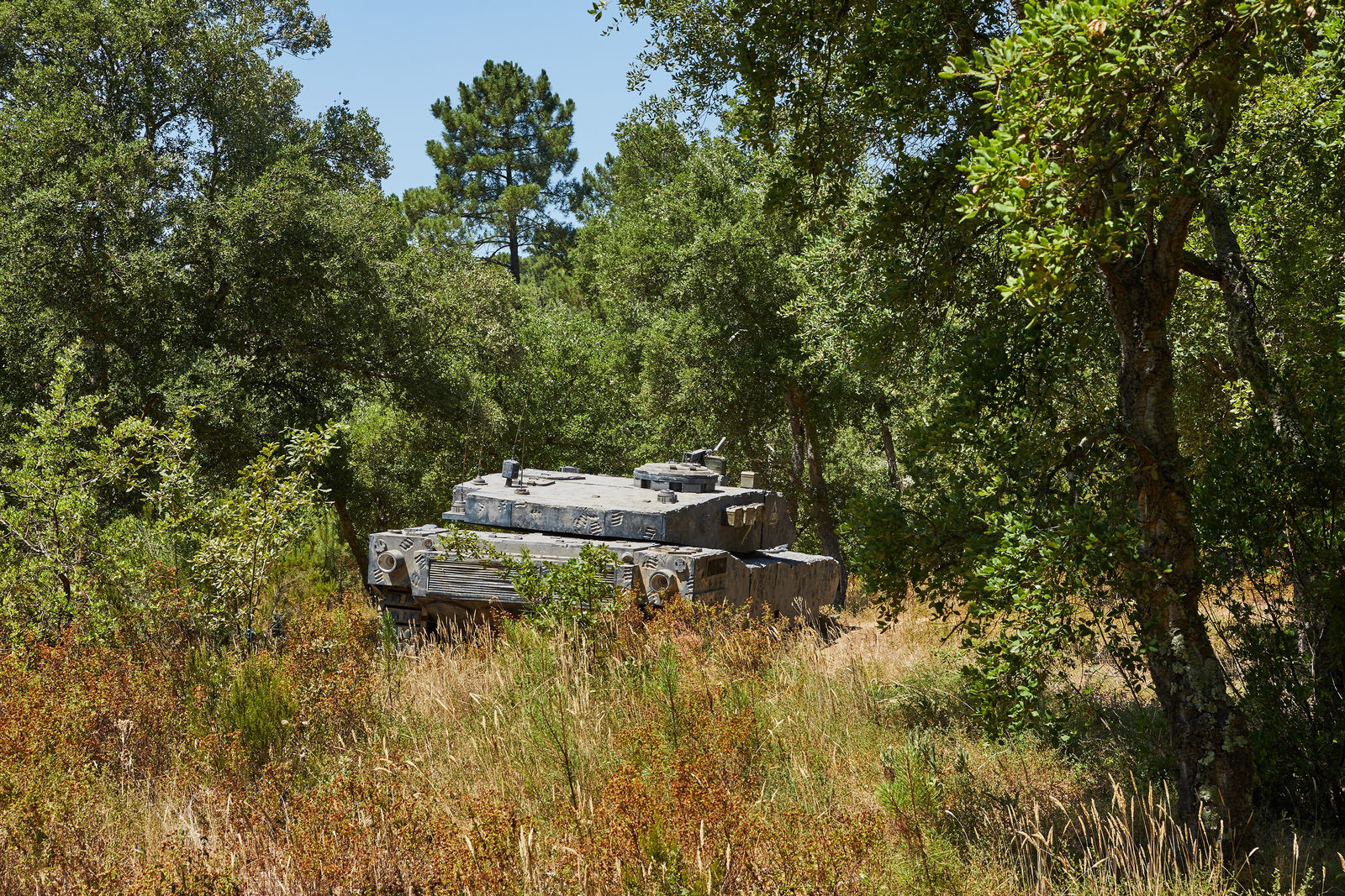 Xu Zhen, 12'91'', 2005