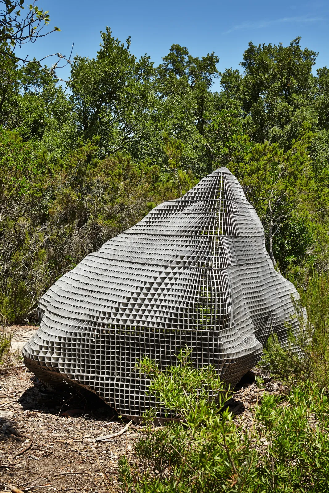 Sui Jianguo, Dream Stone, 2010