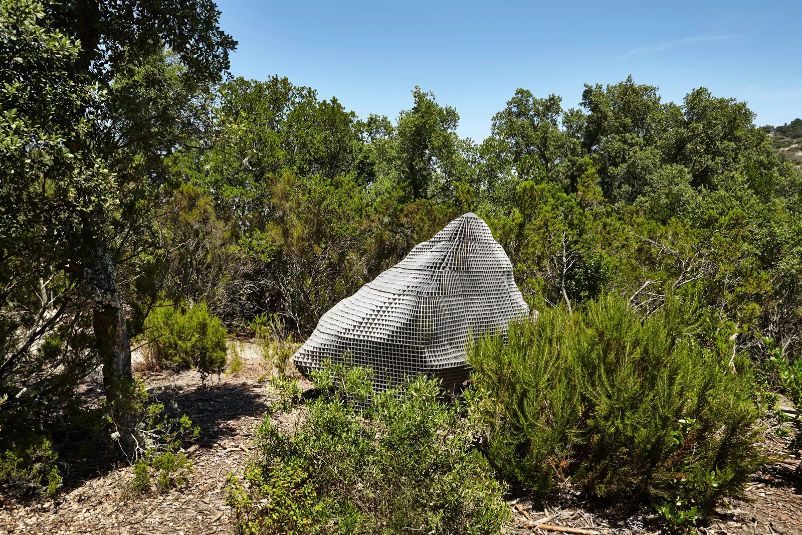 Sui Jianguo, Dream Stone, 2010