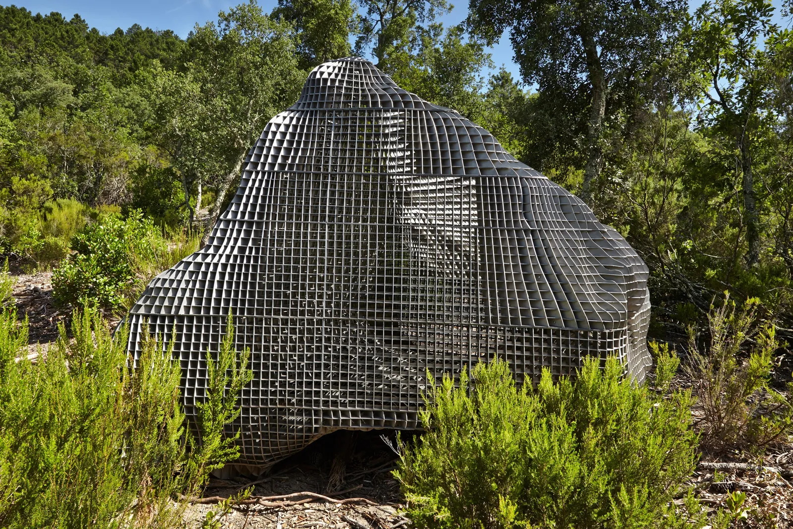 Sui Jianguo, Dream Stone, 2010